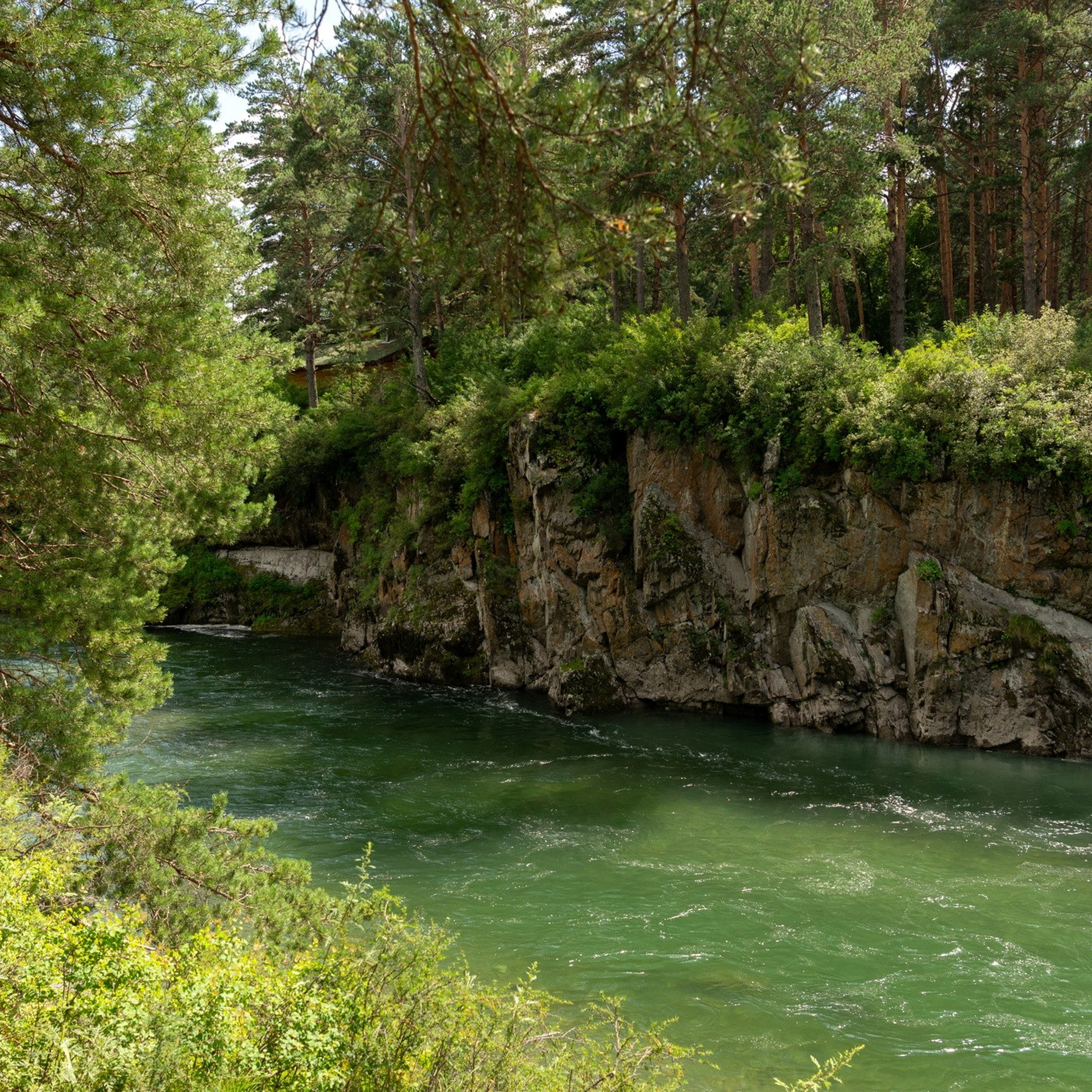 Природа. Семейный, детский и женский фотограф в Братске