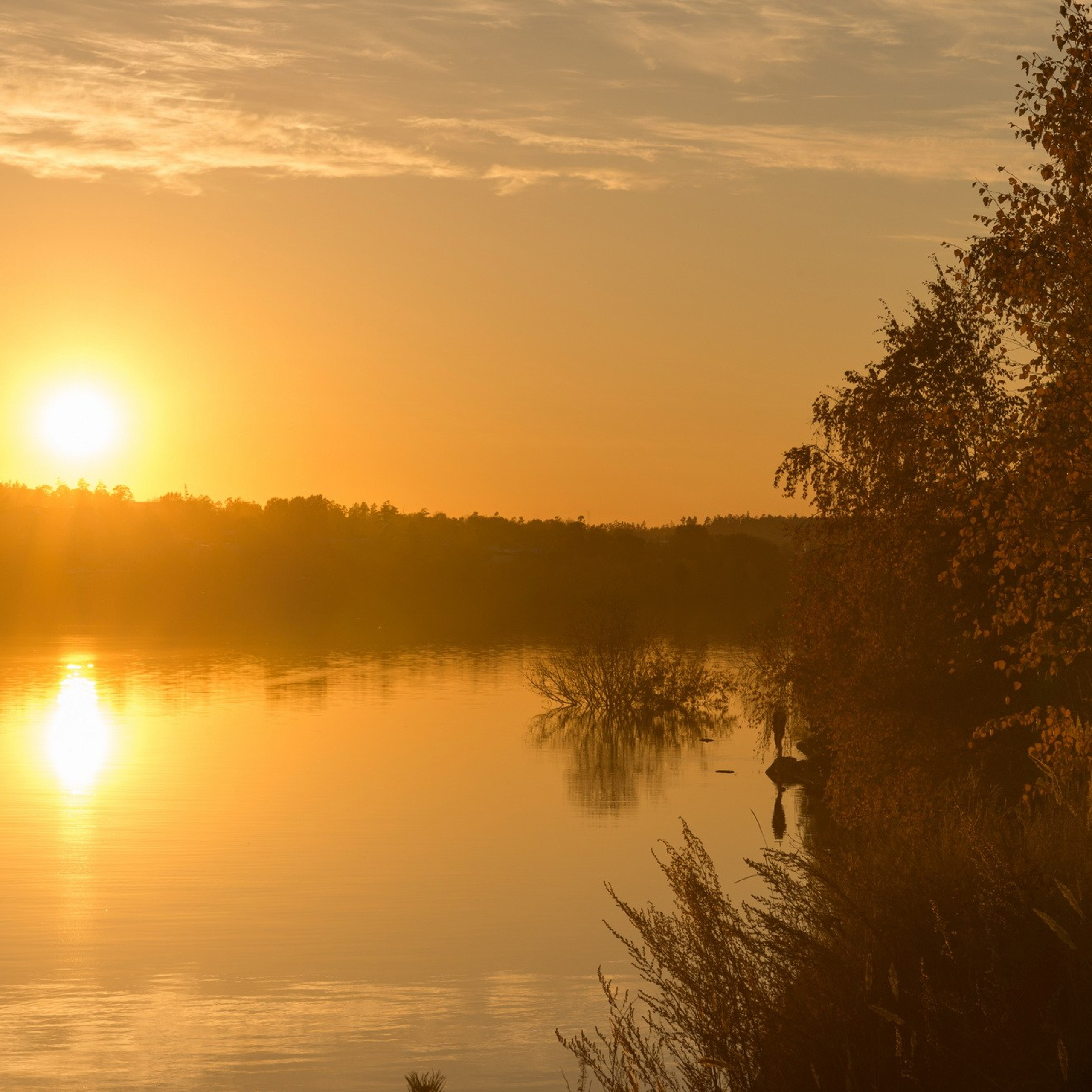 Природа. Семейный, детский и женский фотограф в Братске