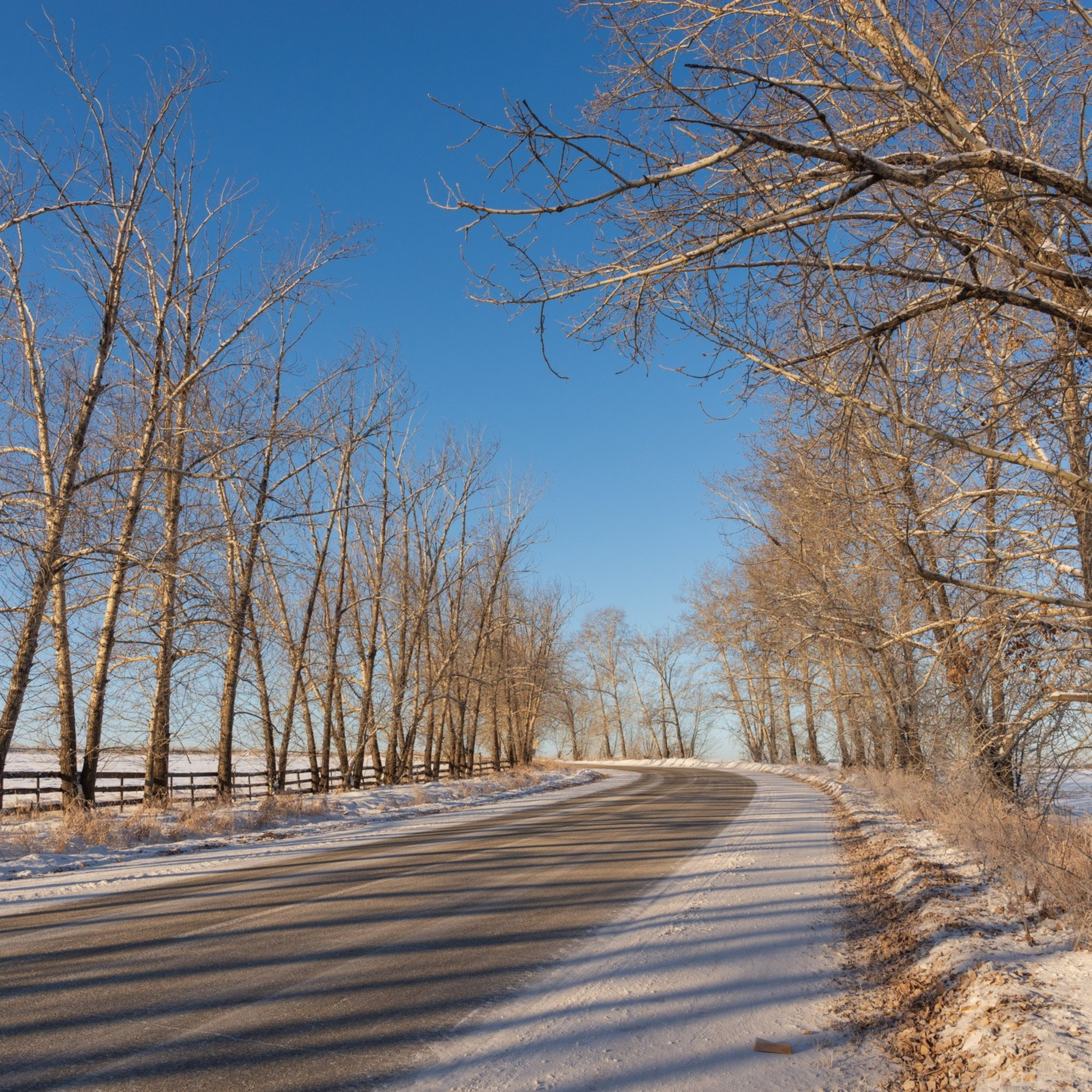 Природа. Семейный, детский и женский фотограф в Братске