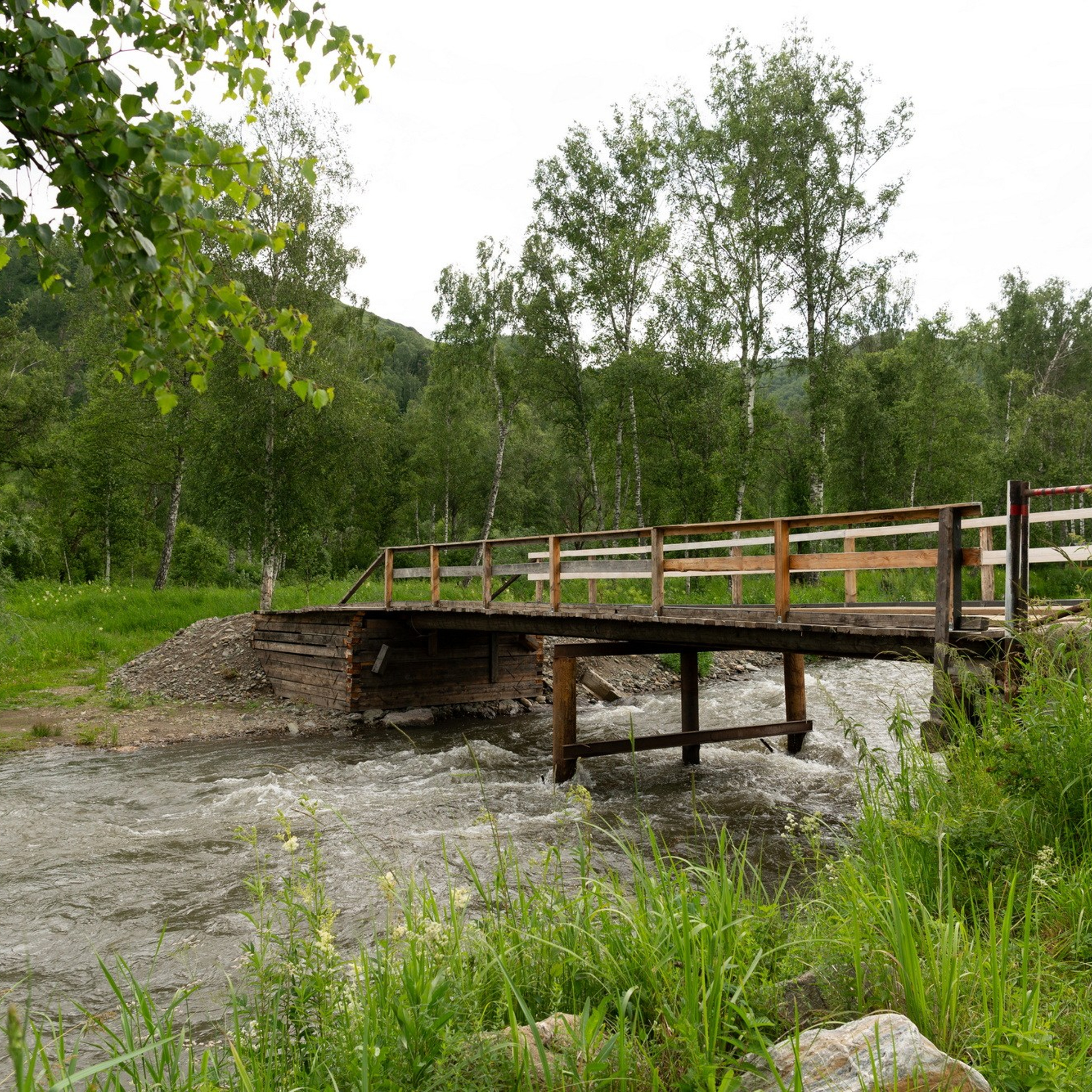 Природа. Семейный, детский и женский фотограф в Братске