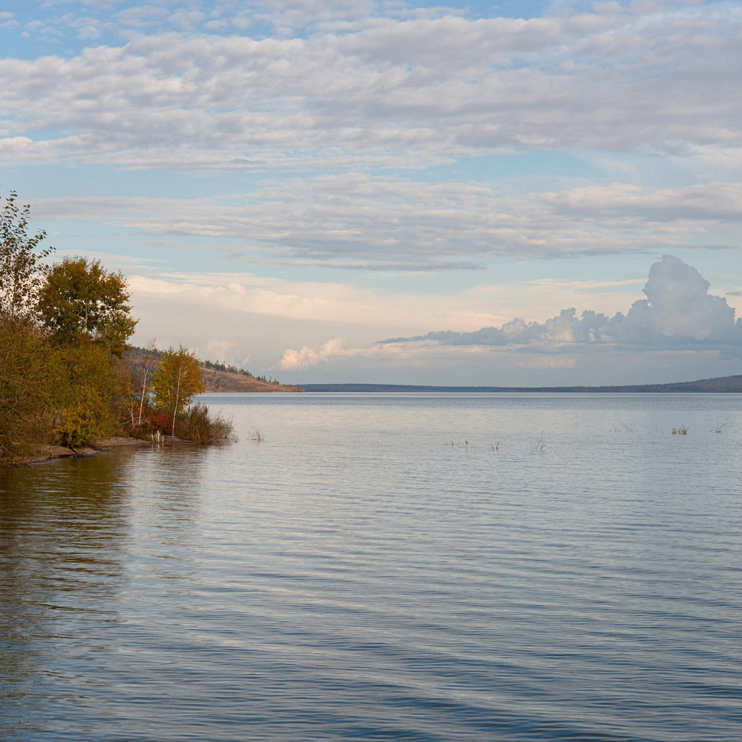 Природа. Семейный, детский и женский фотограф в Братске