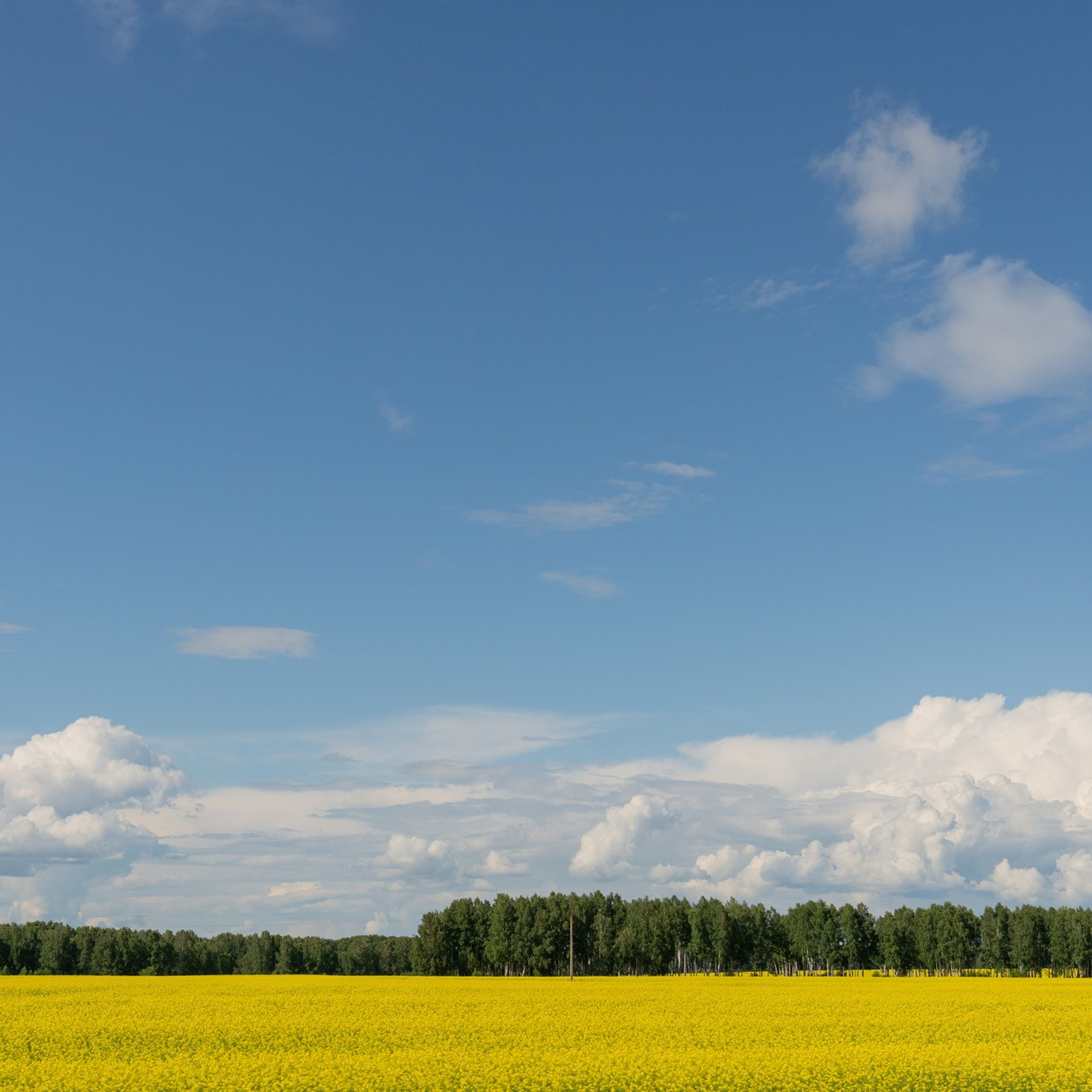 Природа. Семейный, детский и женский фотограф в Братске