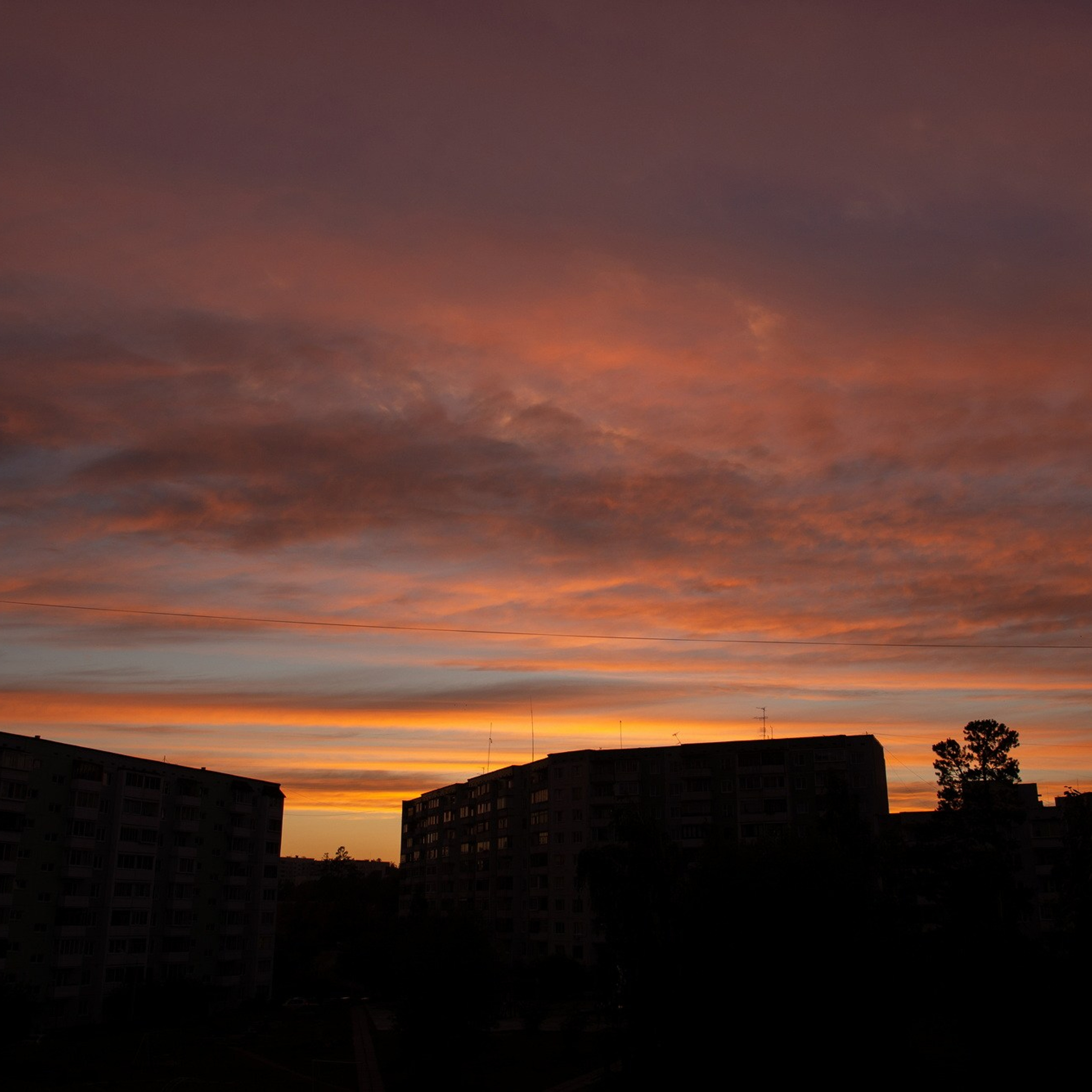 Природа. Семейный, детский и женский фотограф в Братске