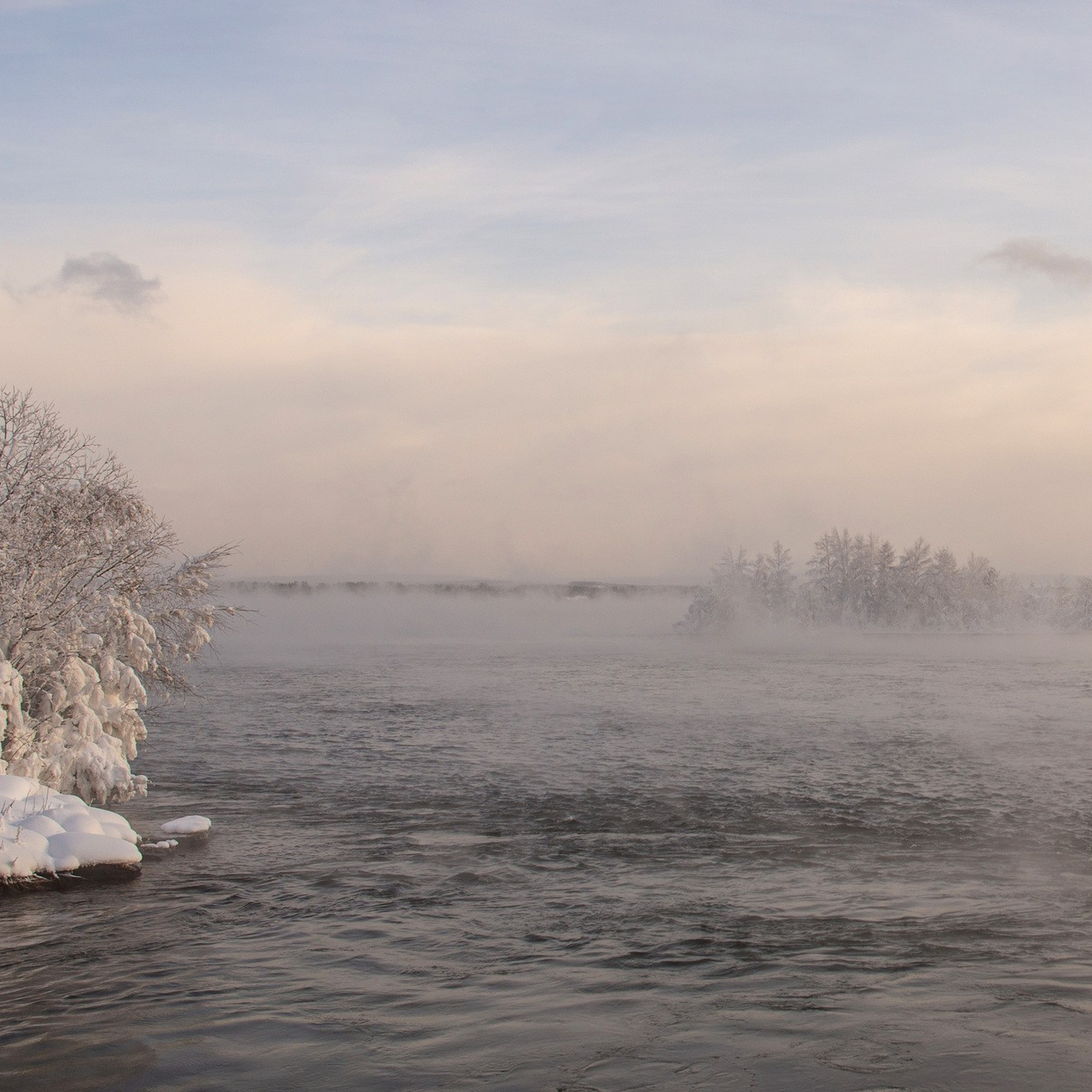 Природа. Семейный, детский и женский фотограф в Братске