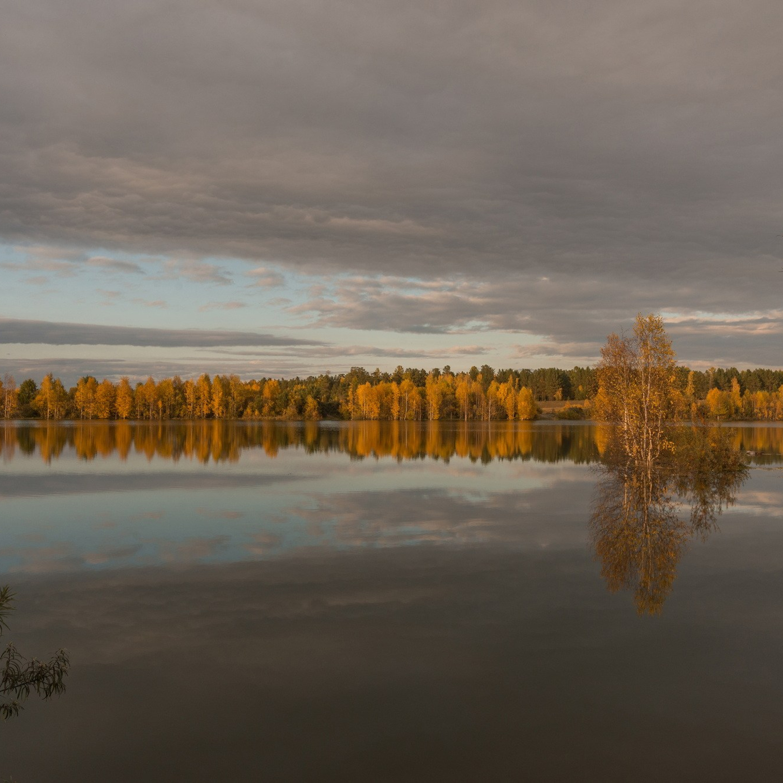 Природа. Семейный, детский и женский фотограф в Братске
