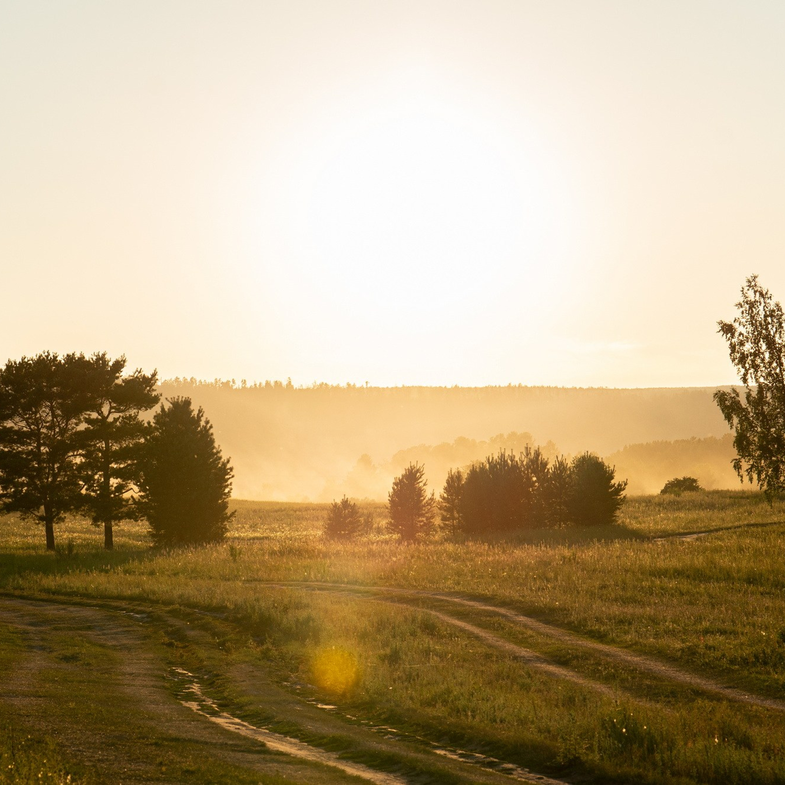 Природа. Семейный, детский и женский фотограф в Братске