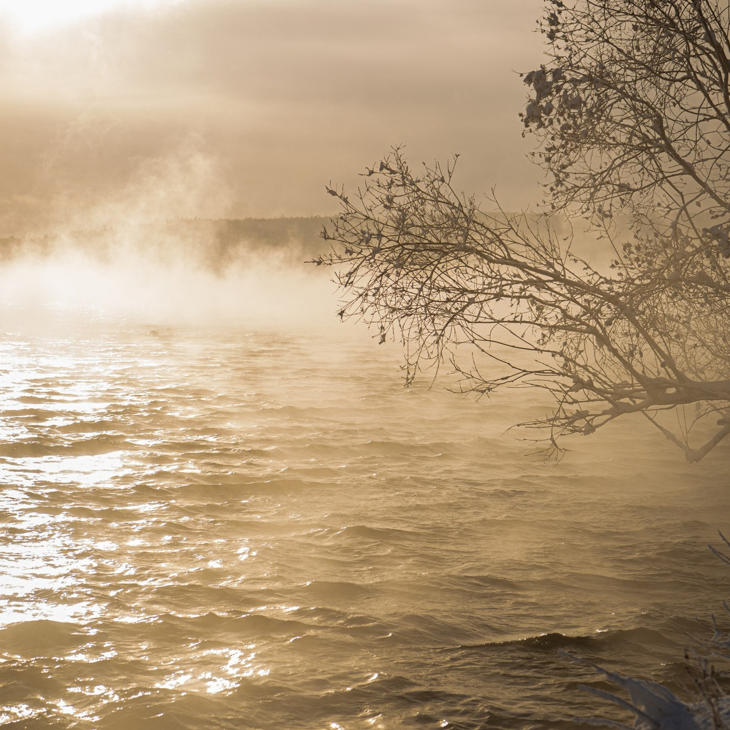 Природа. Семейный, детский и женский фотограф в Братске