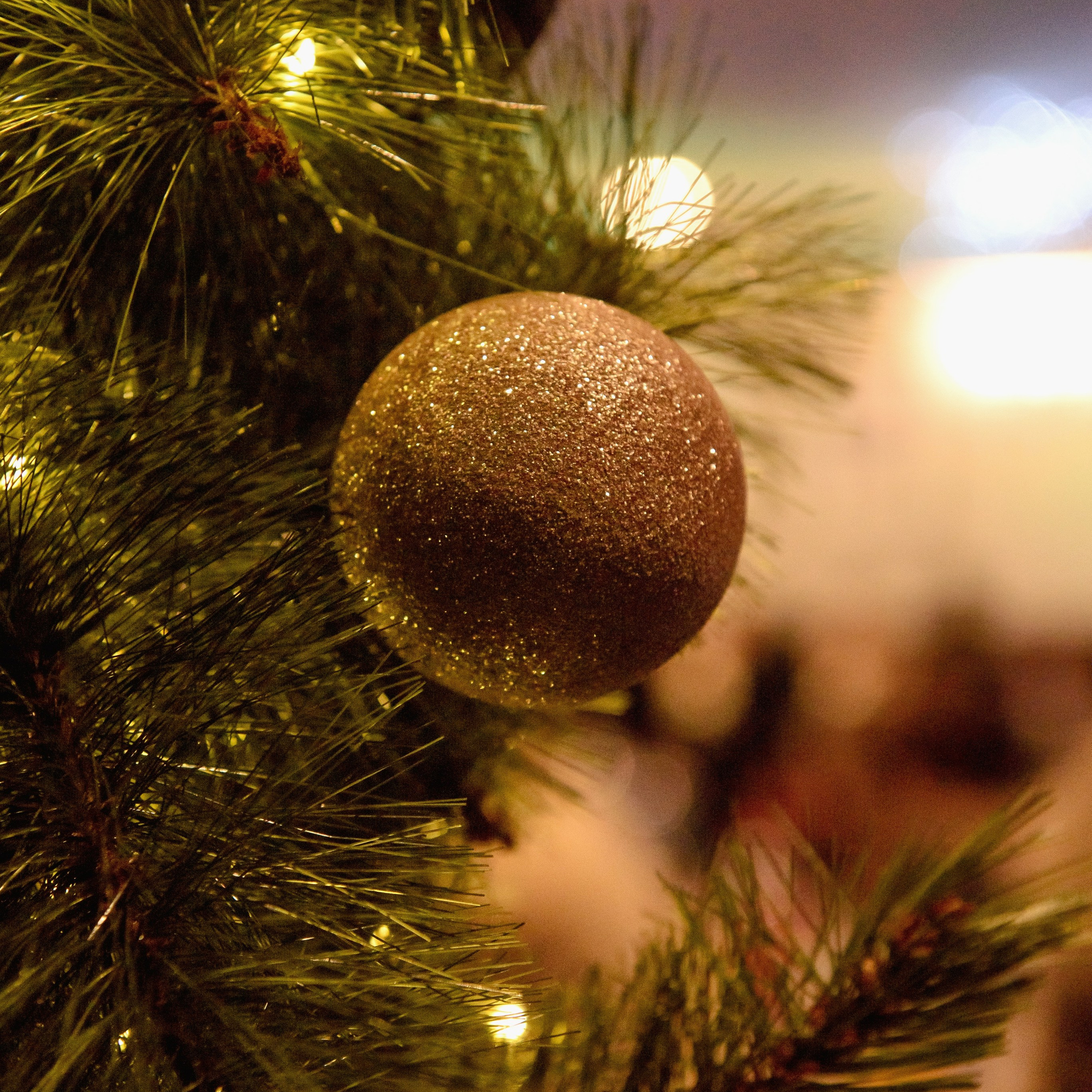 Отзывы. Семейный фотограф в Новочеркасске Виктория Громова