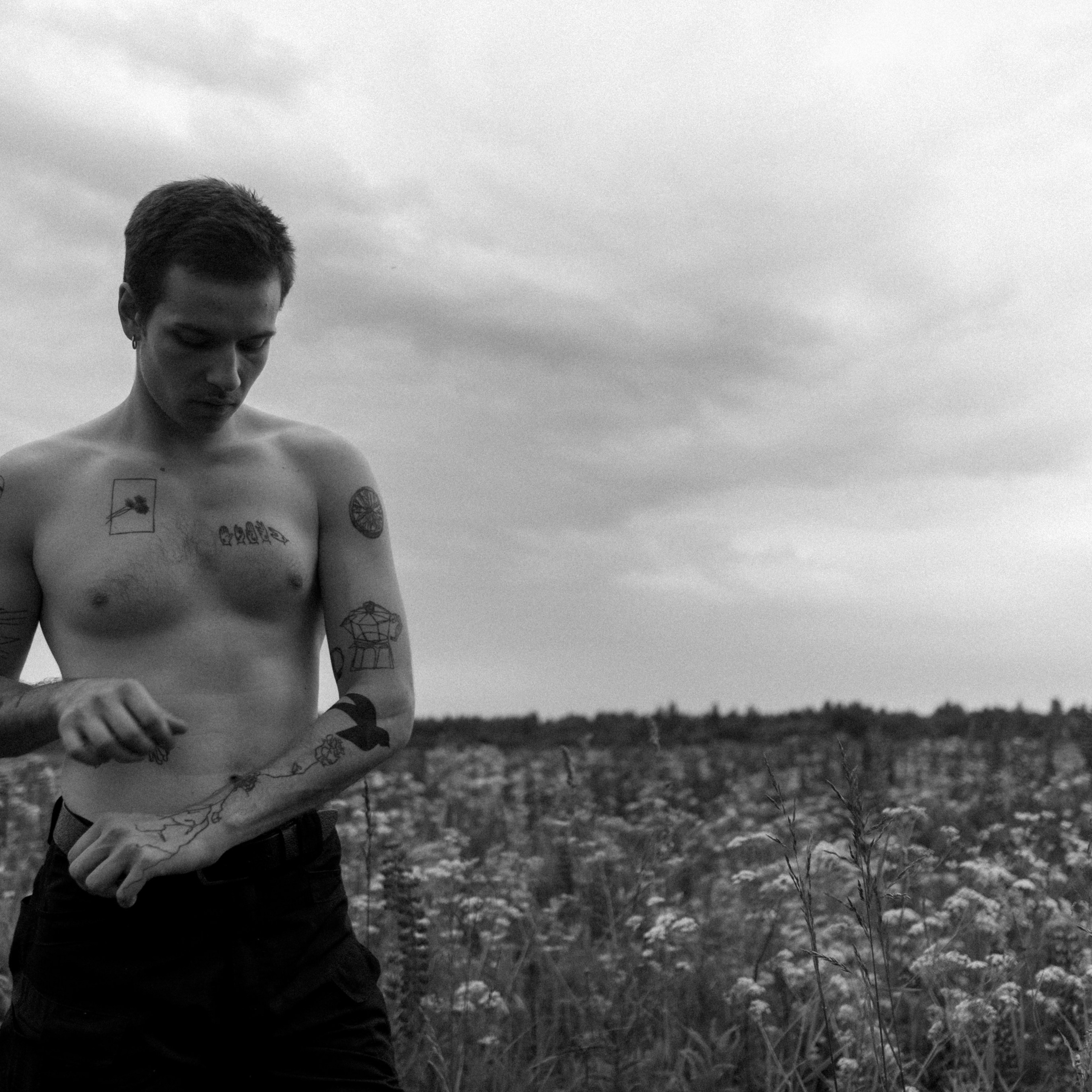 в поле люпинов