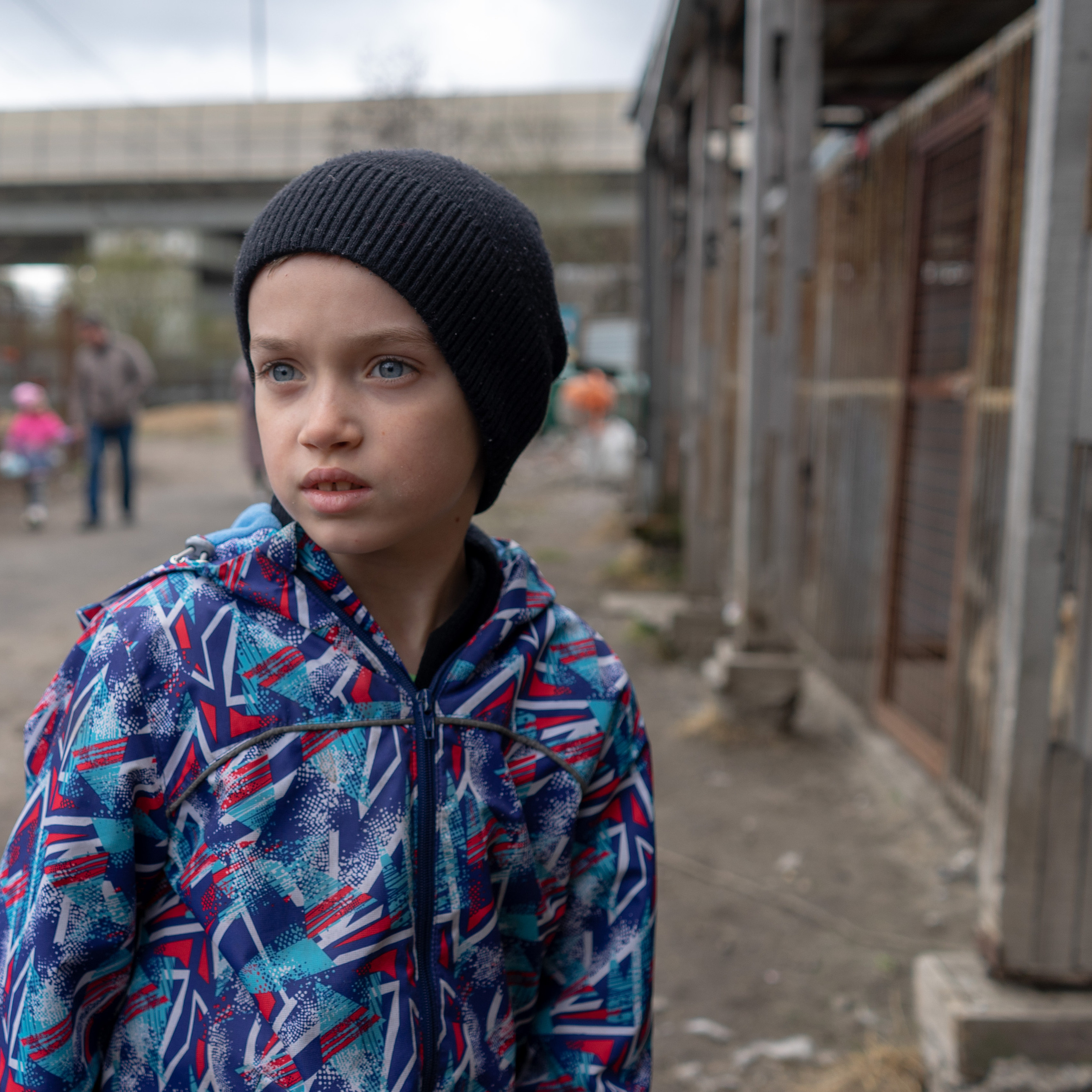 детская экскурсия в приют «Ржевка»