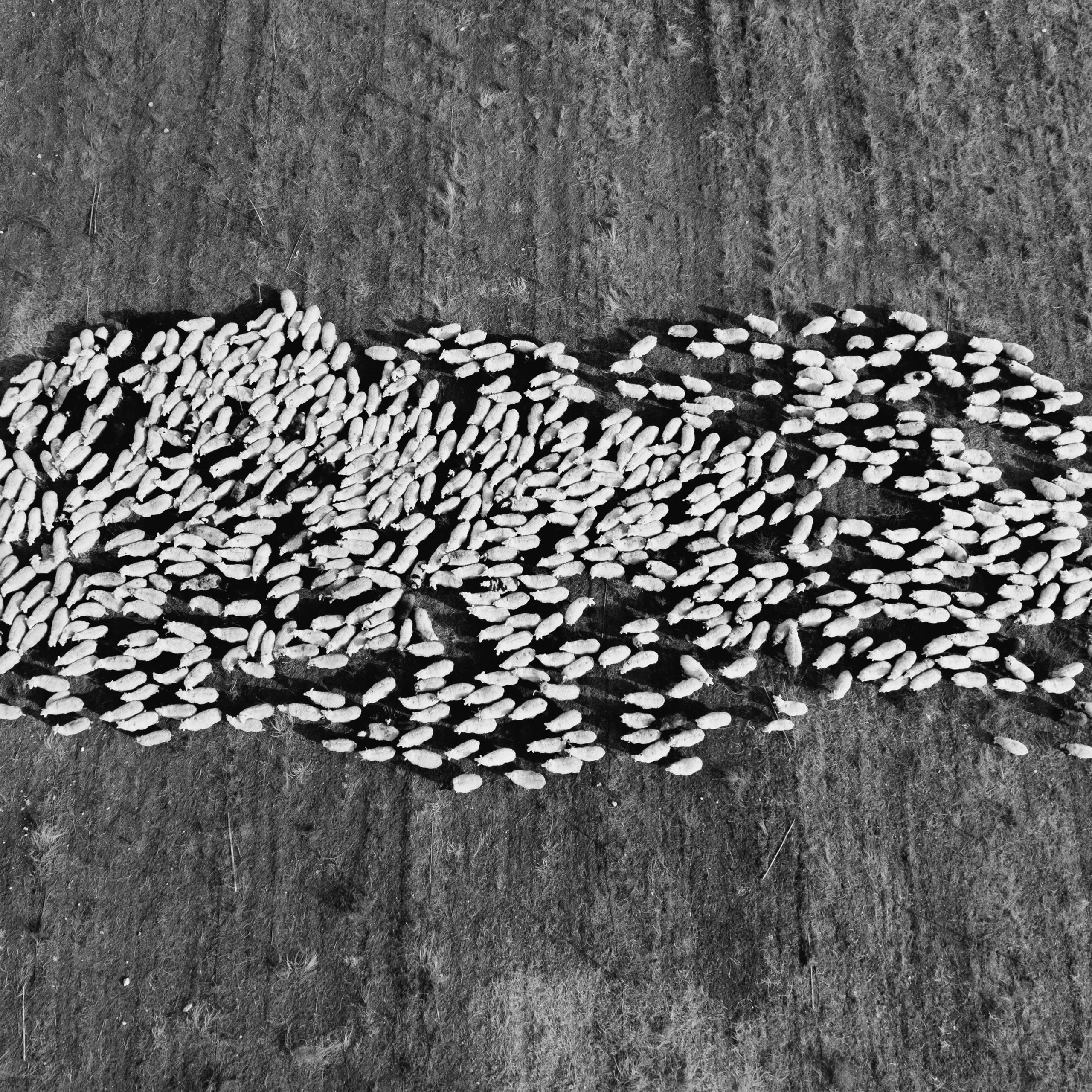 Онлайн-курс. Портретный фотограф в Санкт-Петербурге Алексей Корзов