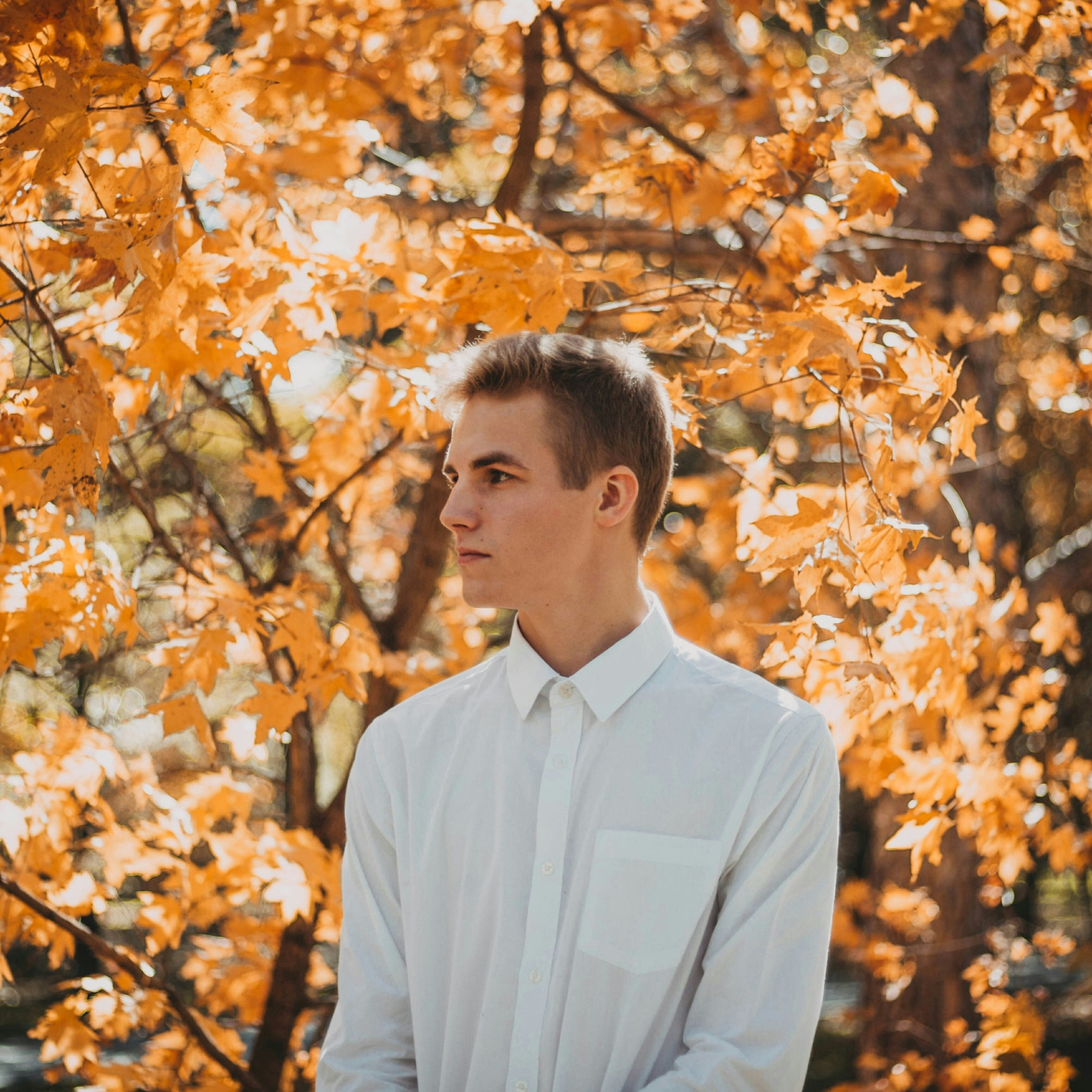 Онлайн-курс. Портретный фотограф в Санкт-Петербурге Алексей Корзов