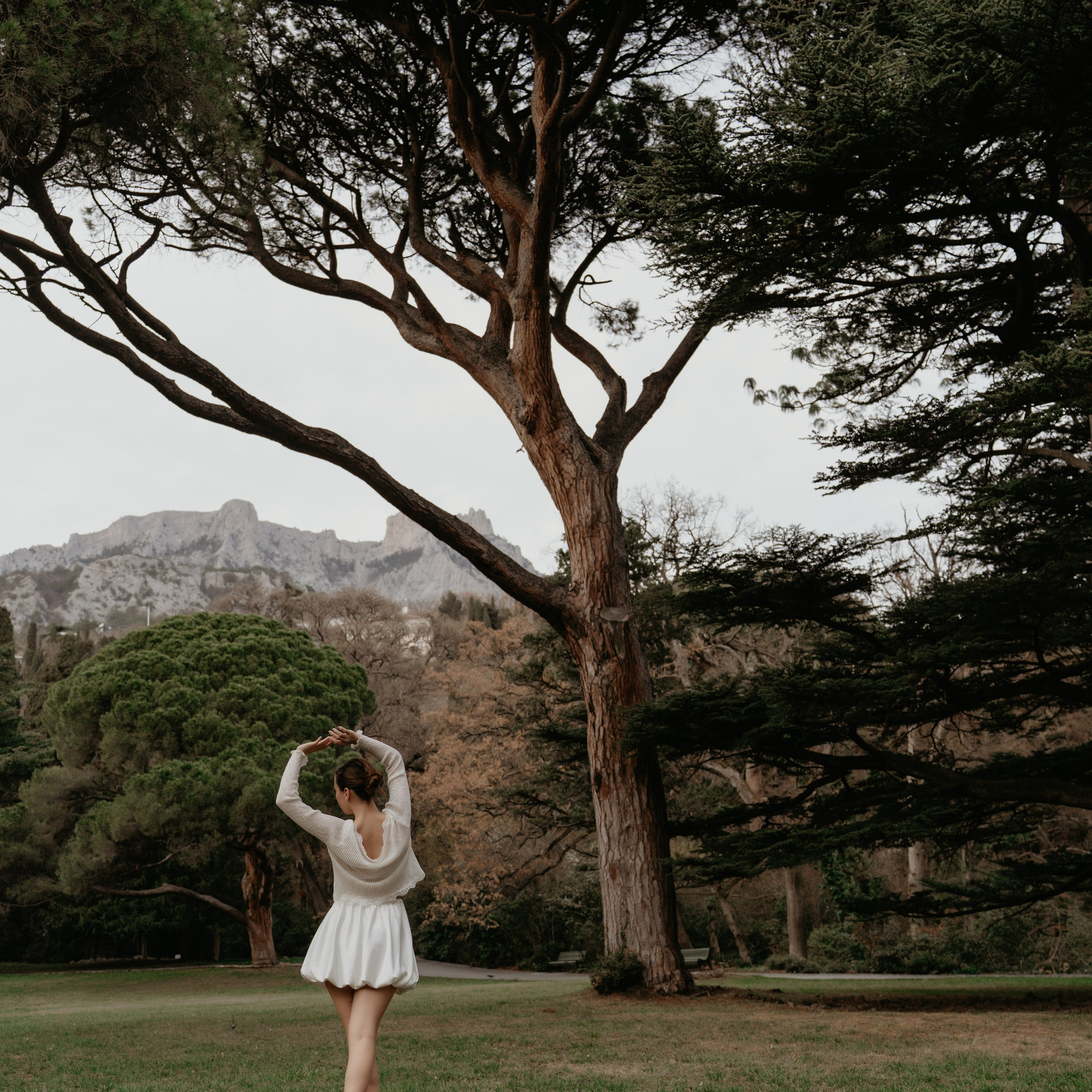 Под кроной вечности