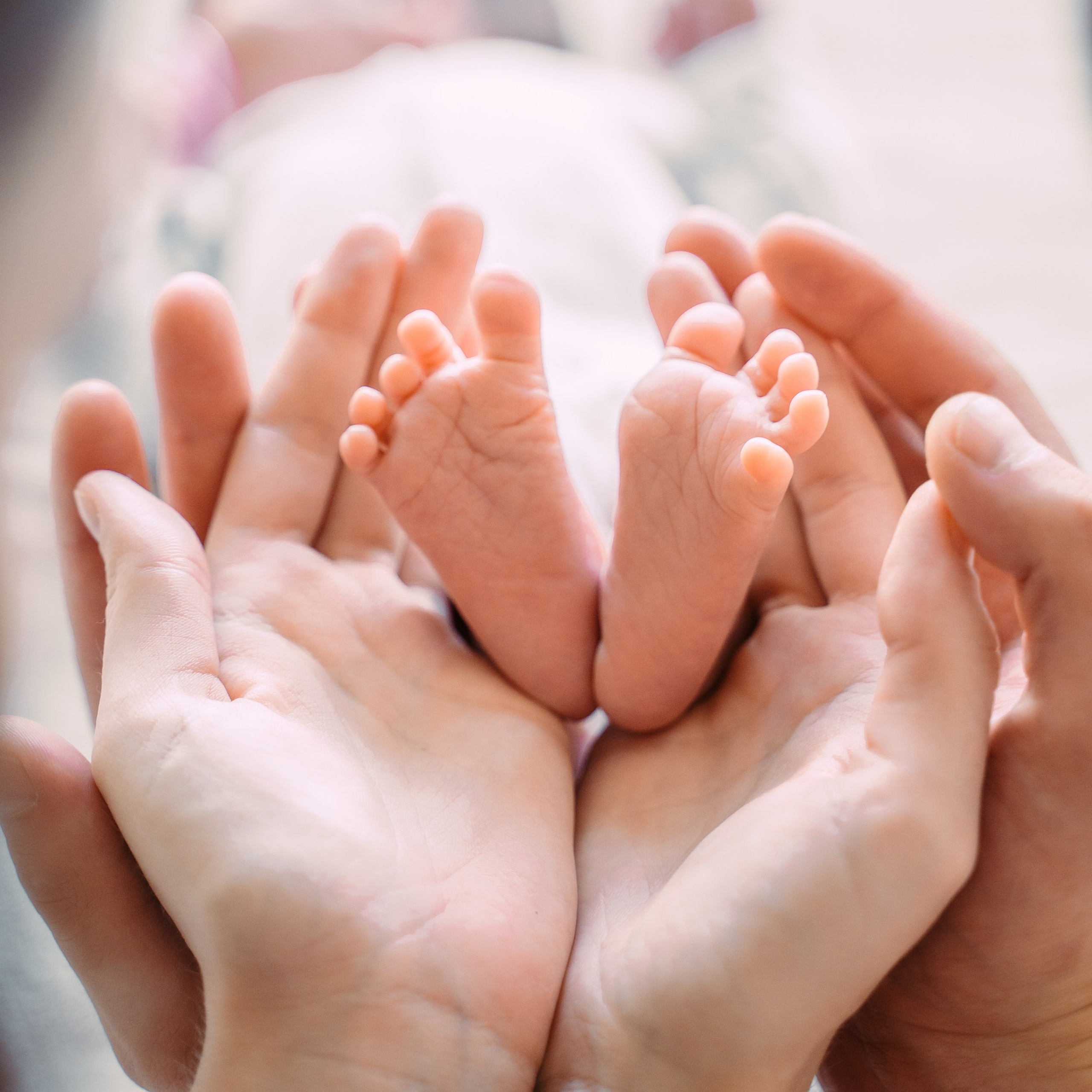 Стоимость Фотосессии в Минске. Свадебный Фотограф Минск || Фото и Видеосъёмка Минск || Другие города