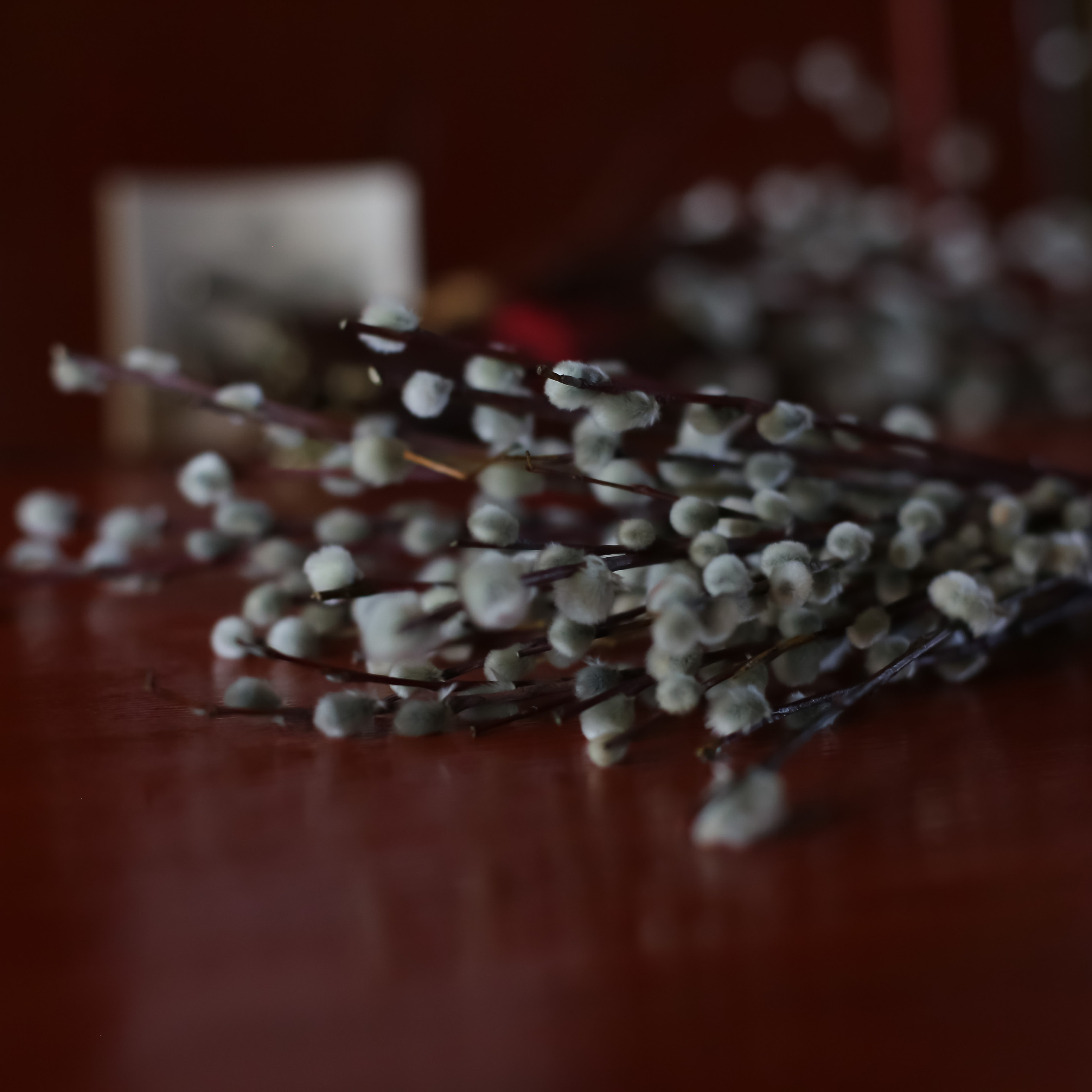 Отзывы. Семейный и детский фотограф Анна Петракова