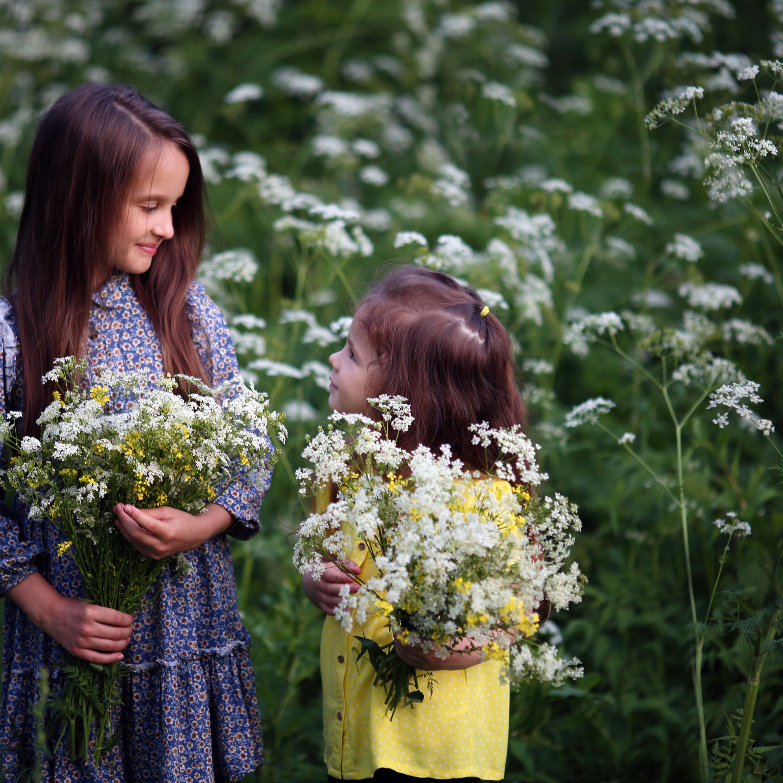 Марина и Кристина ромашковое поле