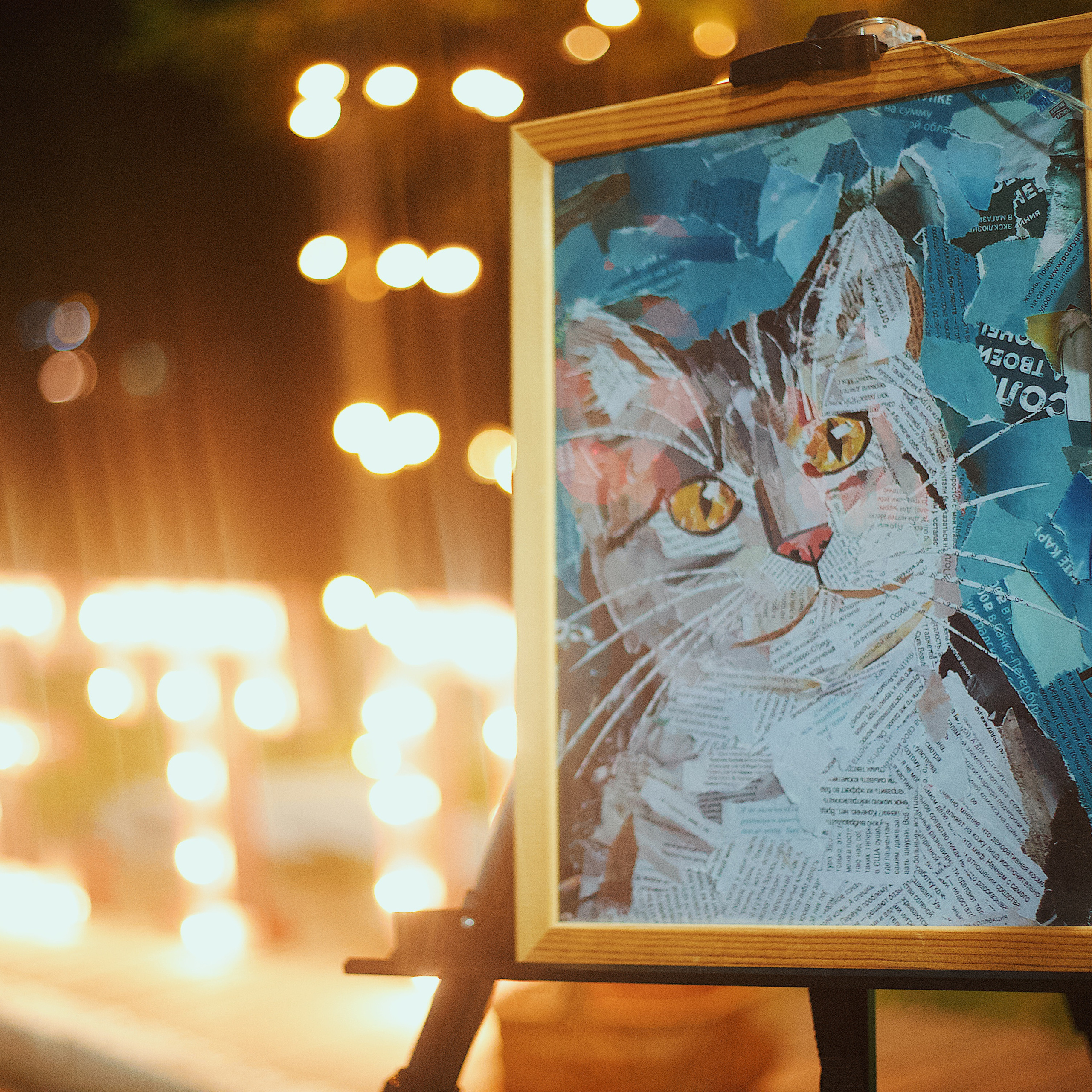 Ночь в парке