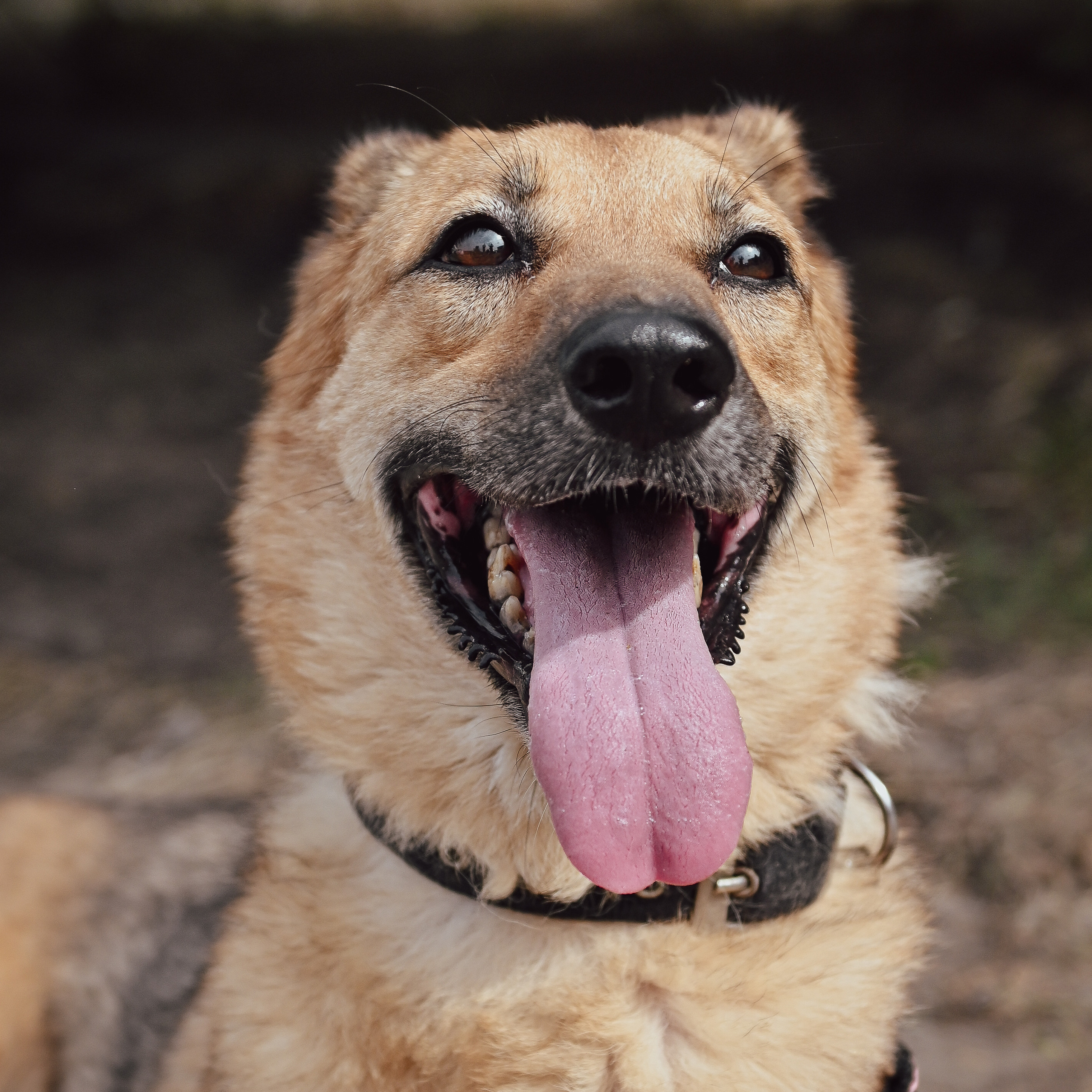 Отзывы. Фотограф в Москве Антонова Татьяна, снимаю мужской и женский портрет