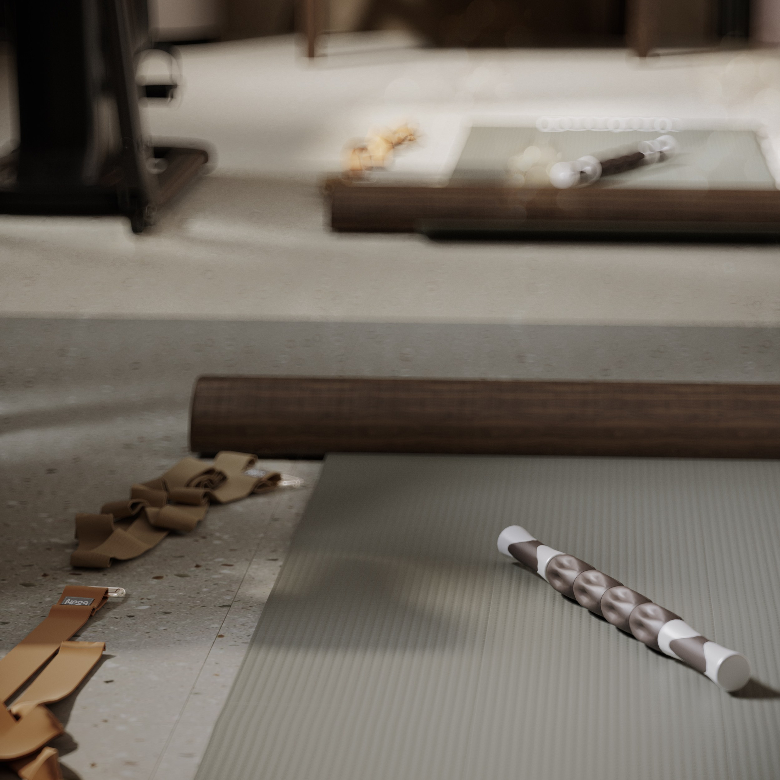 Home gym «Pigment». Портфолио 3D визуализатора