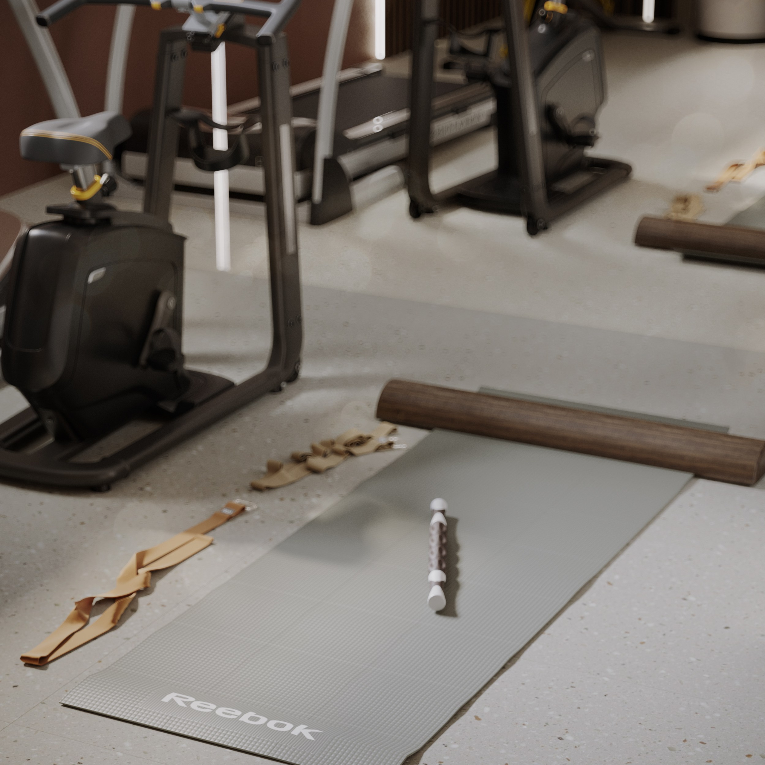 Home gym «Pigment». Портфолио 3D визуализатора