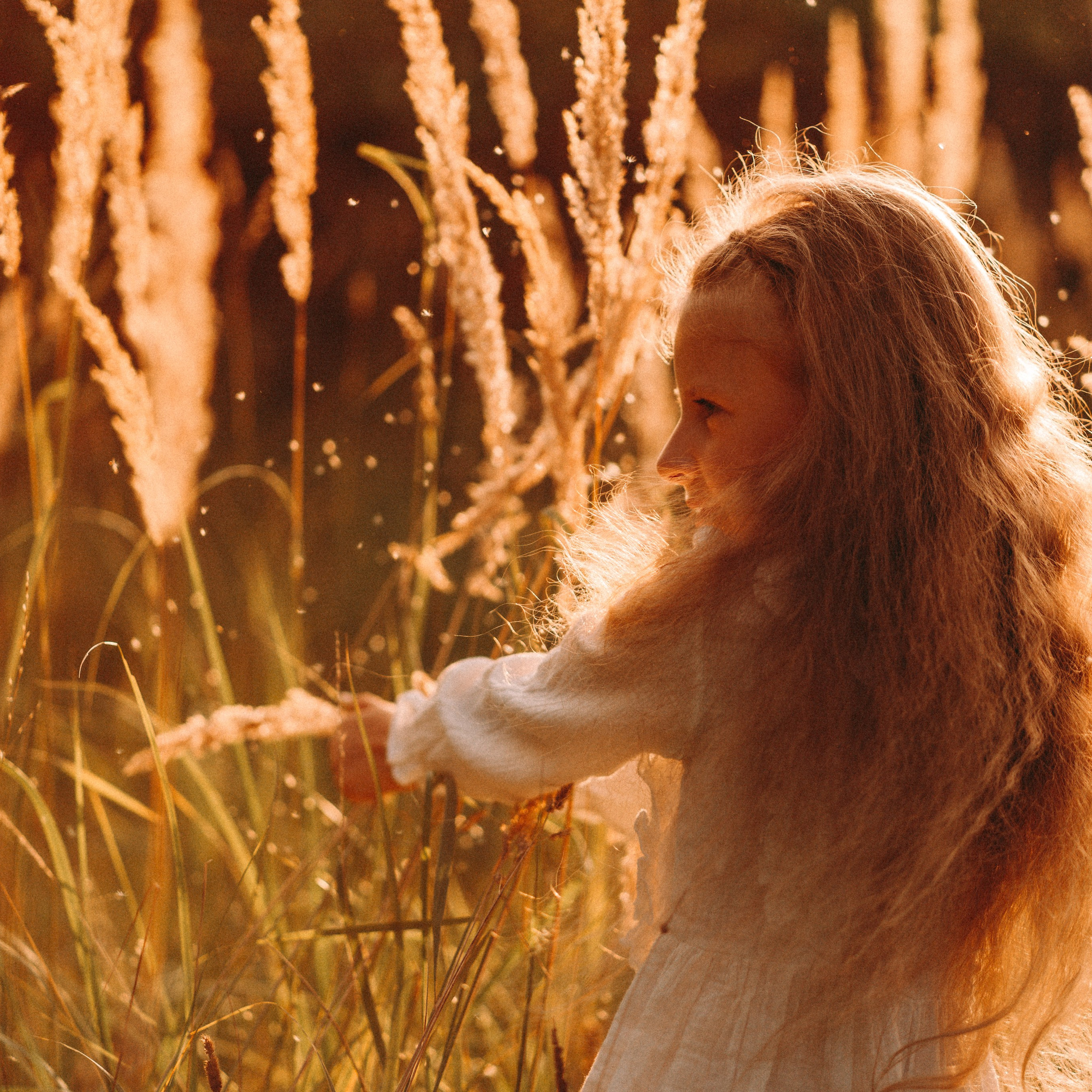 Летнее золото в волосах