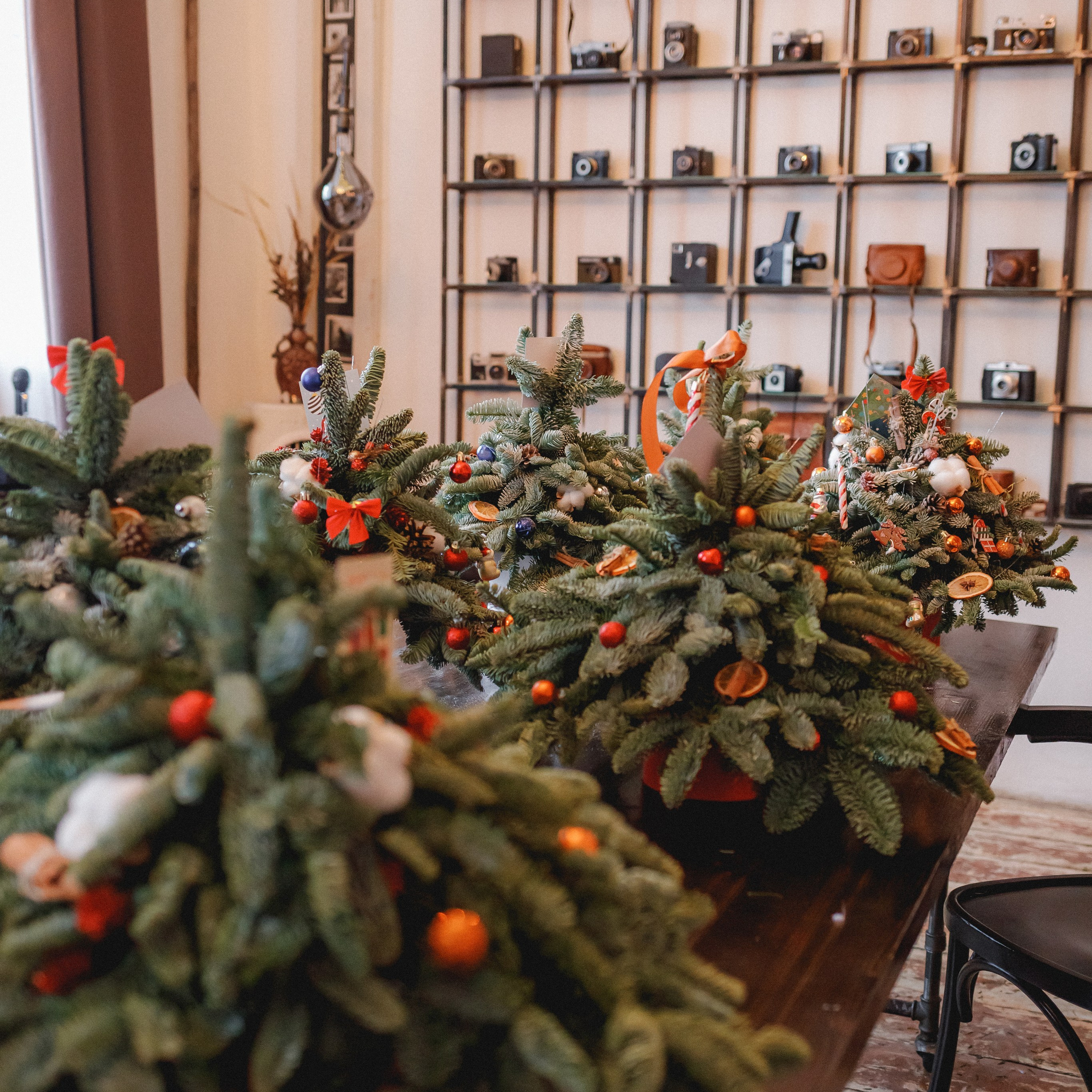 Отзывы. Фотограф в Москве Базанова Дарья