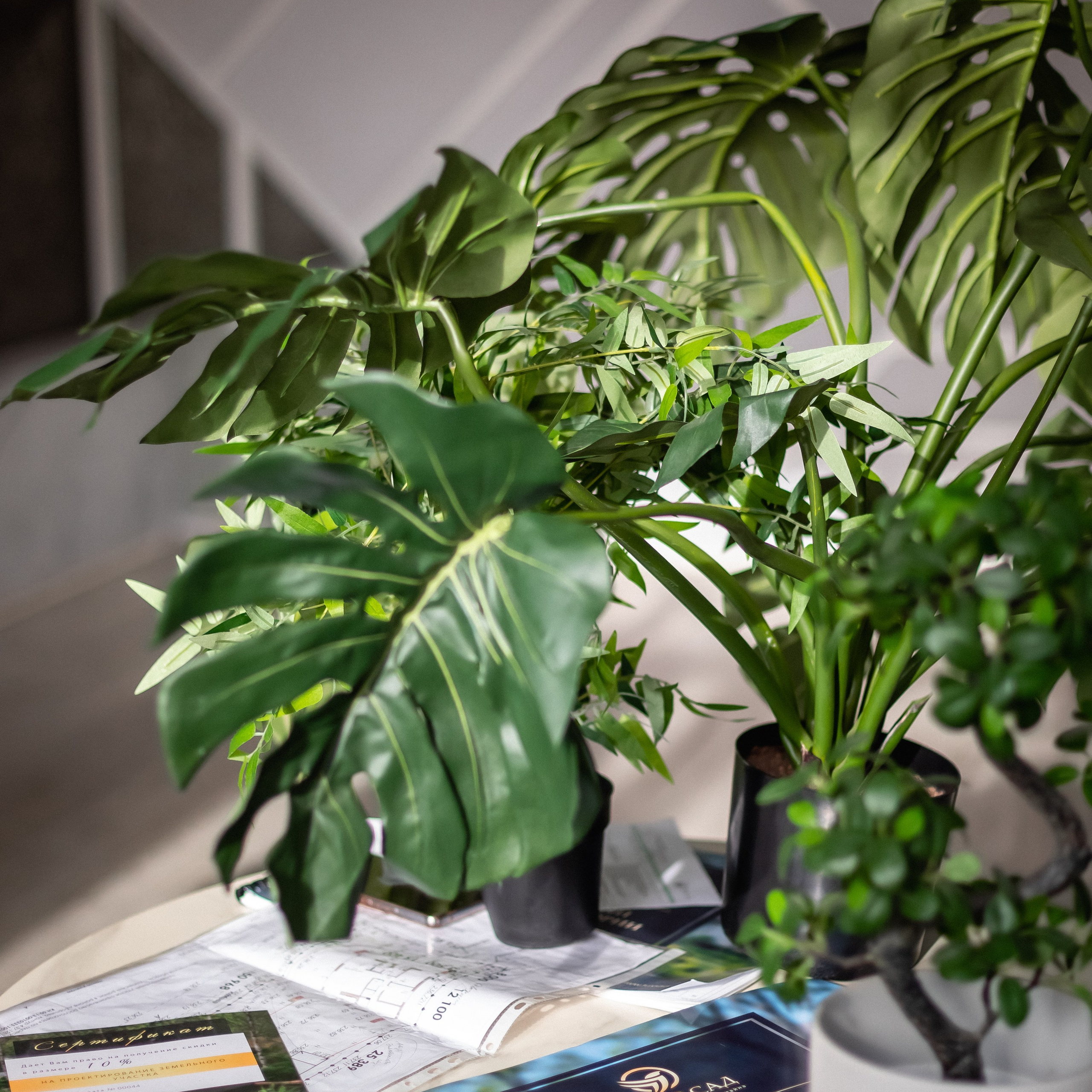 Студия ландшафтного дизайна LuxSad