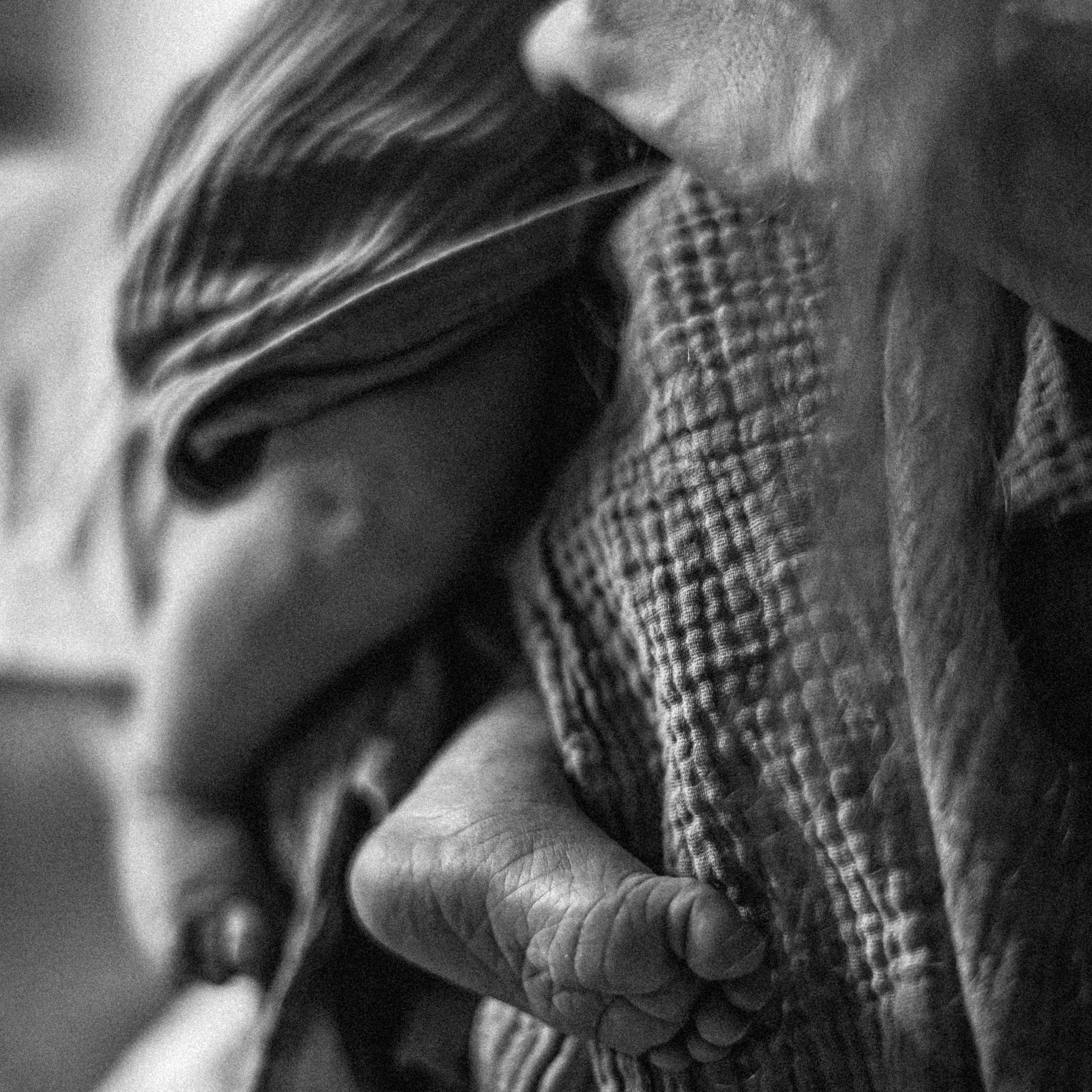 Малыш Денис.