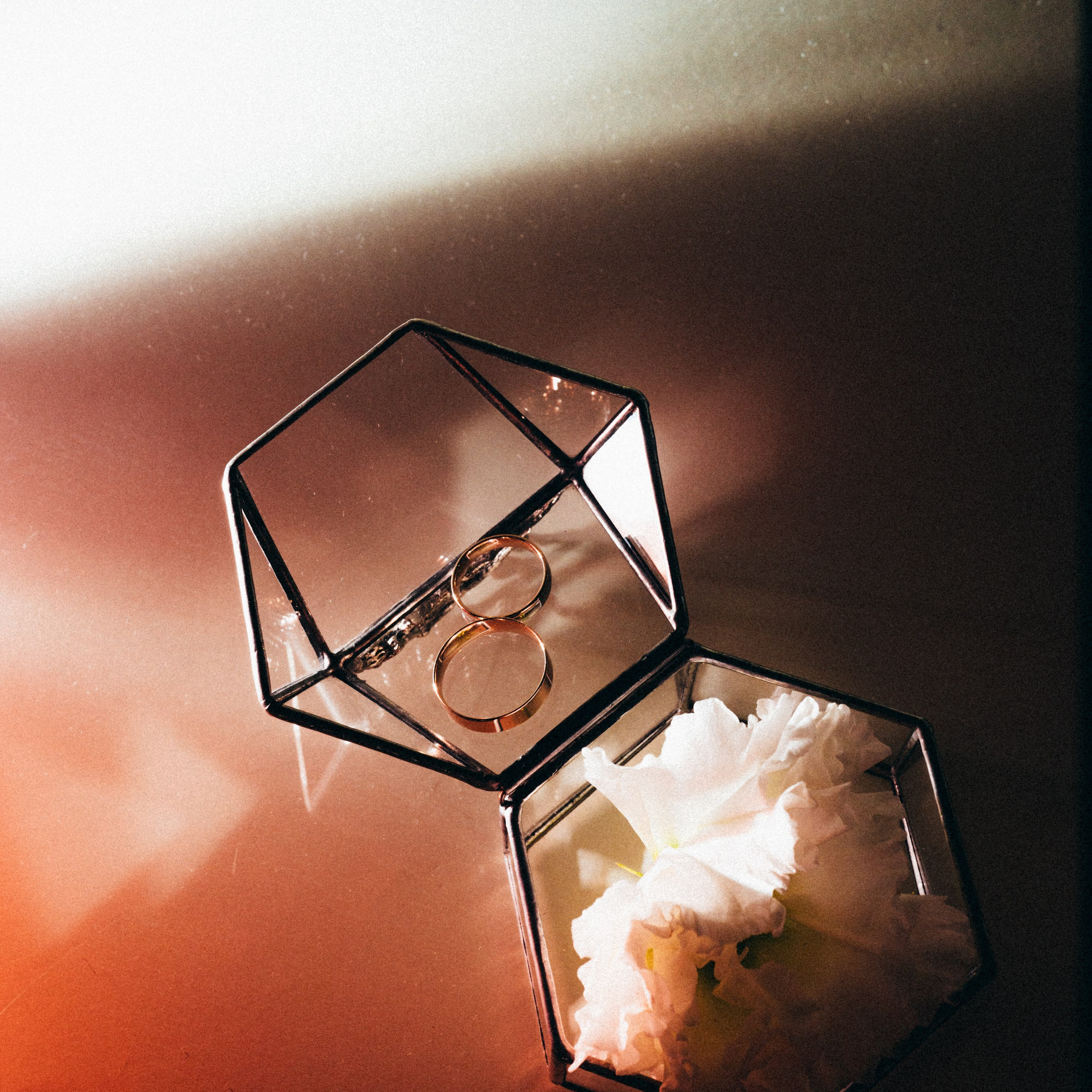 Александр и Ксения