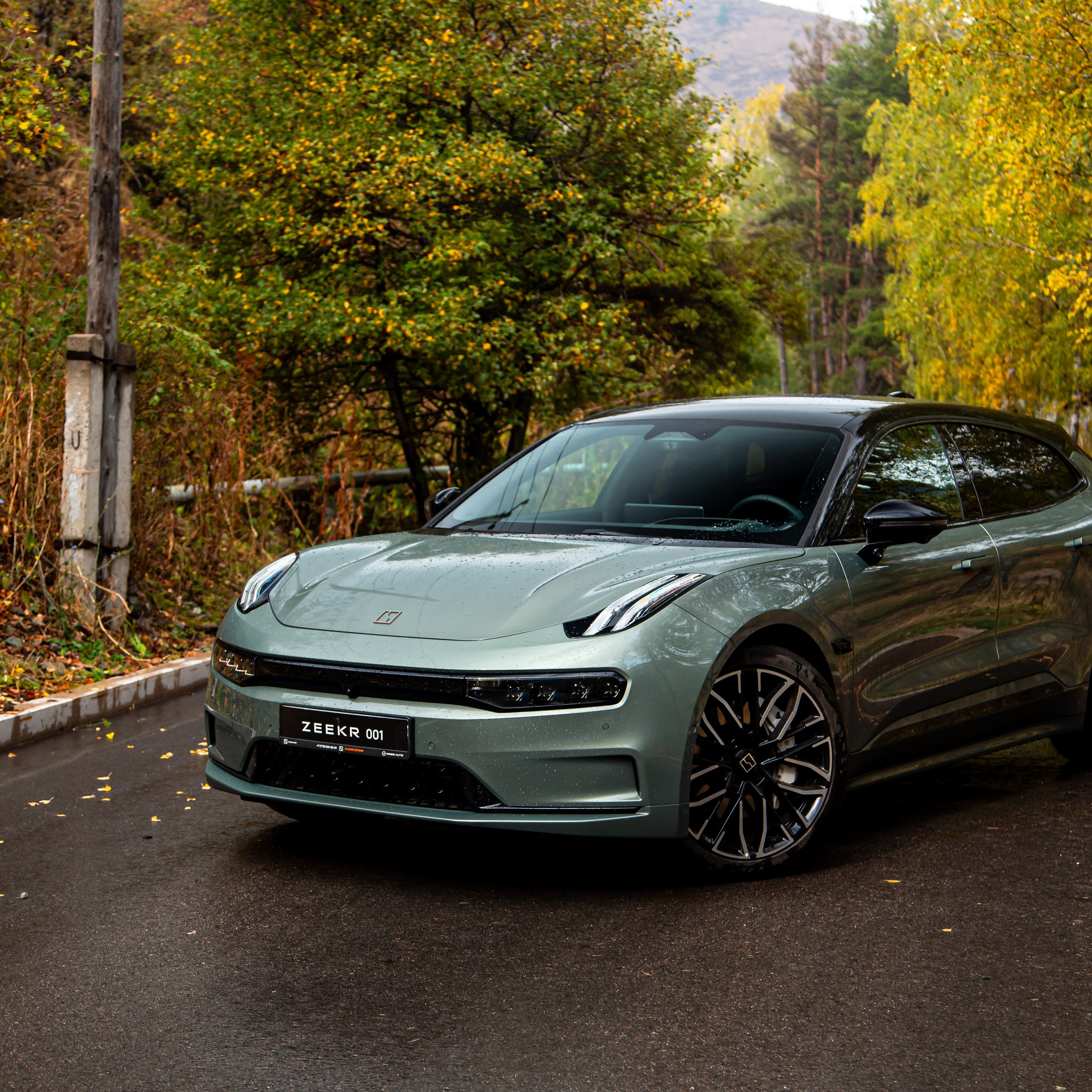 ZEEKR 001
