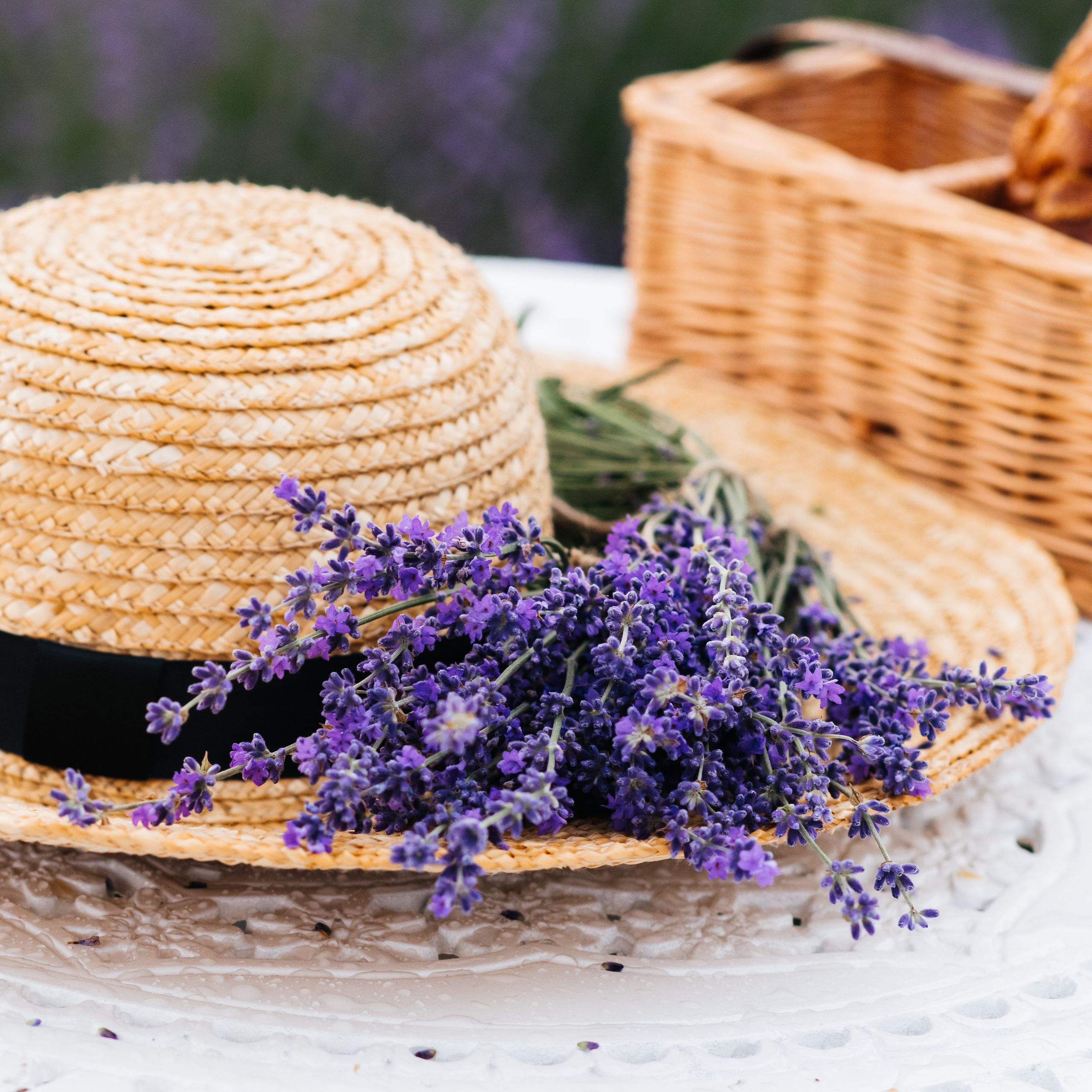 Фото-День «Лаванда»