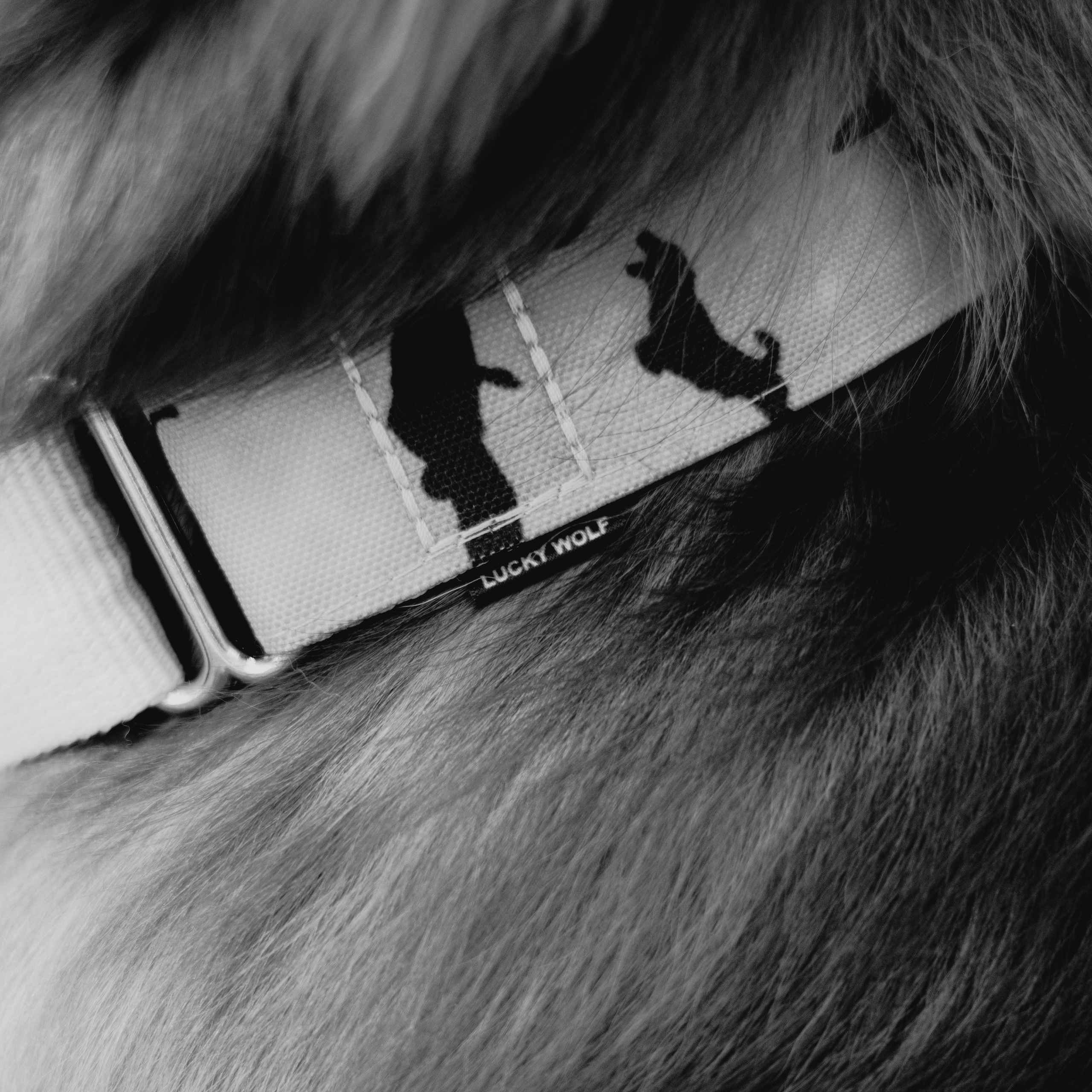 Мастерская амуниции Lucky wolf