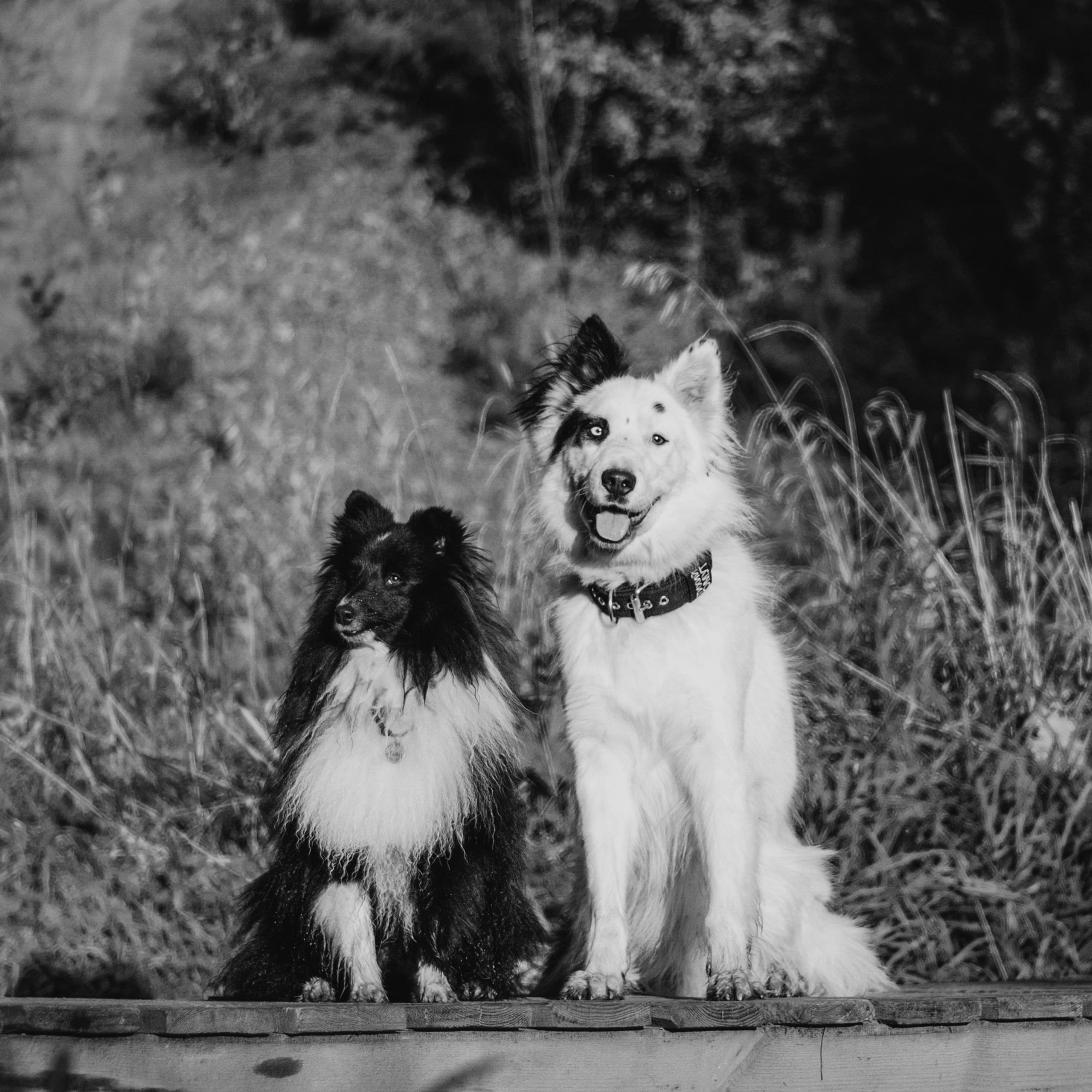 Ньют и Кастиэль