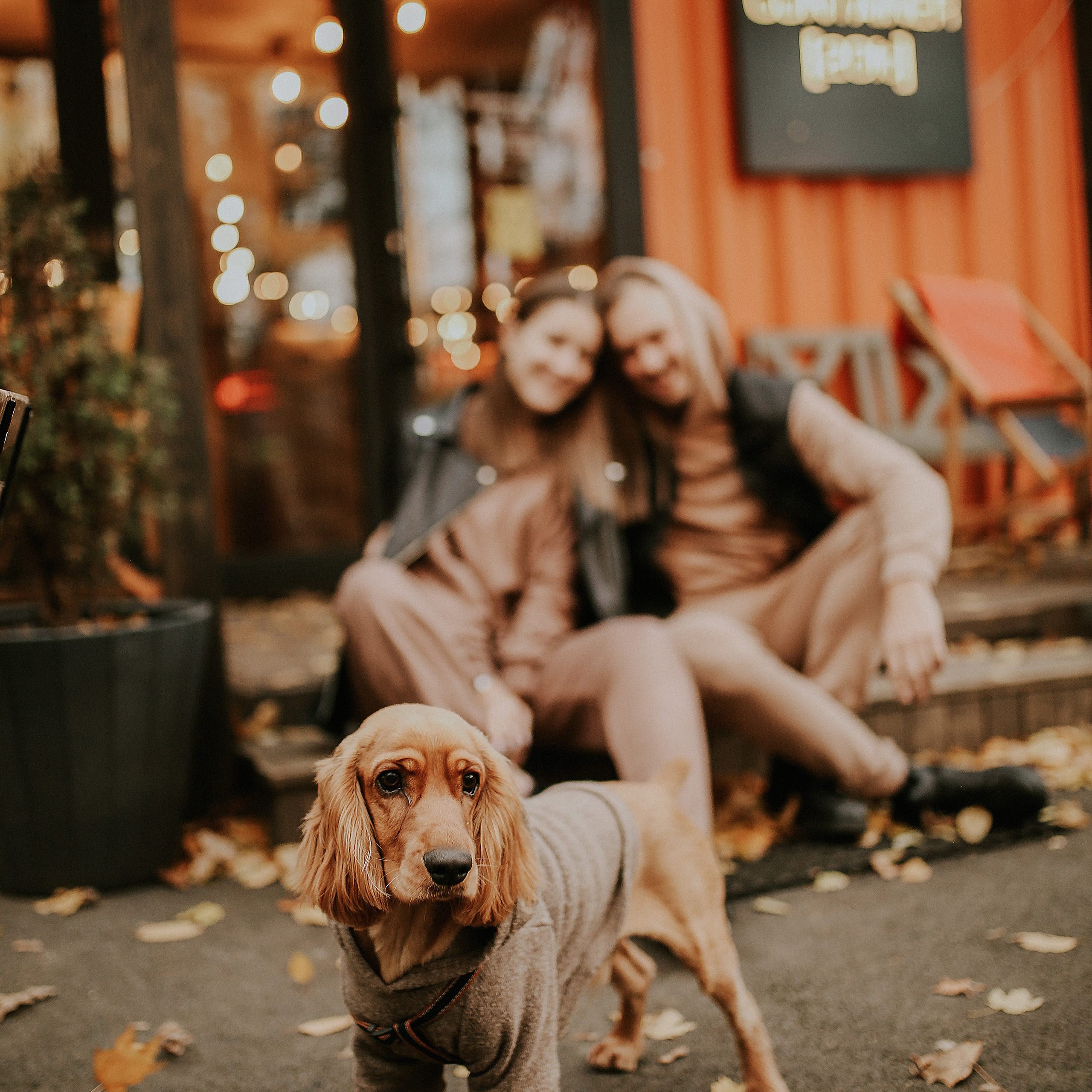 Маришка, Тёма и Вуди