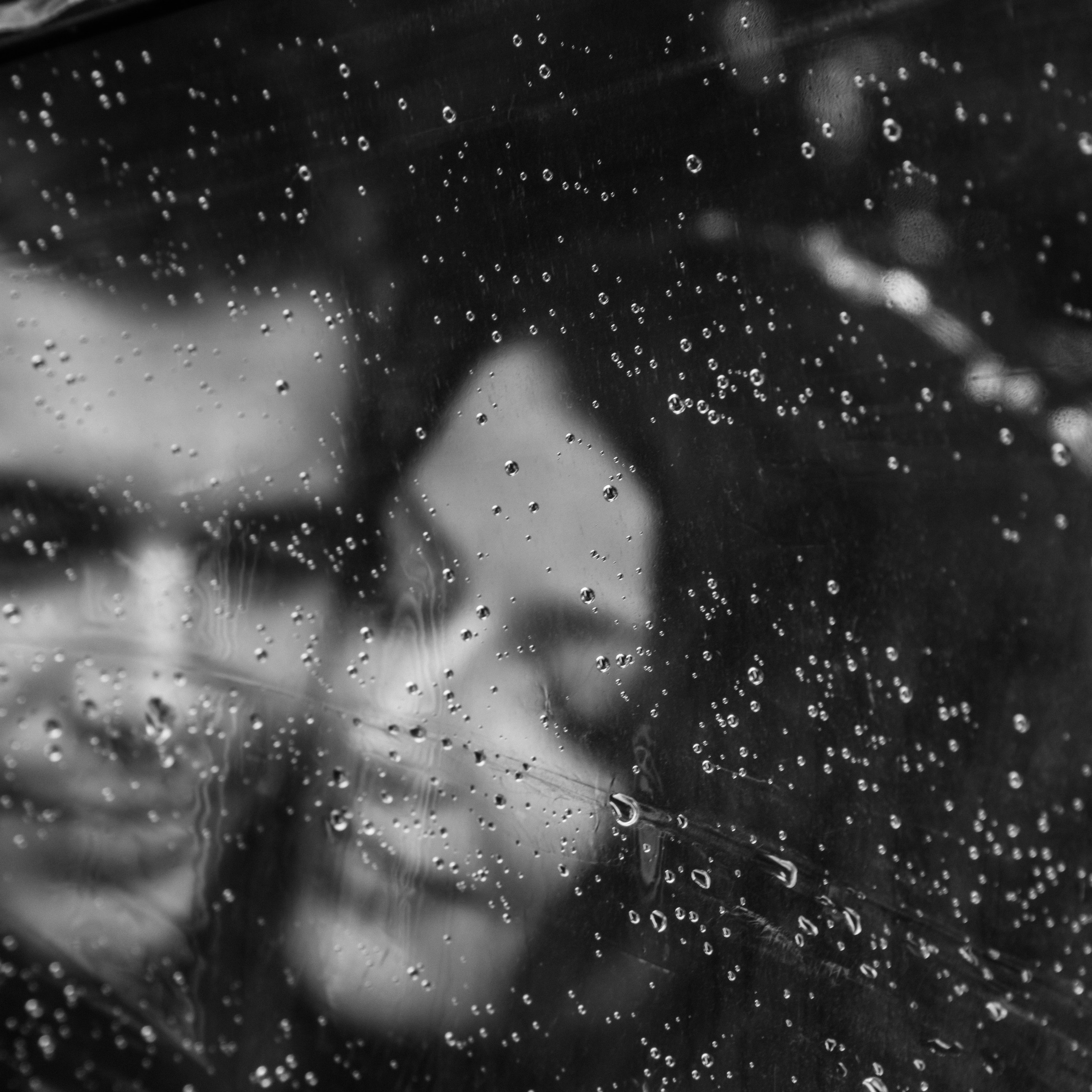 Отзывы. Свадебный фотограф в Санкт-Петербурге Анастасия Андреева