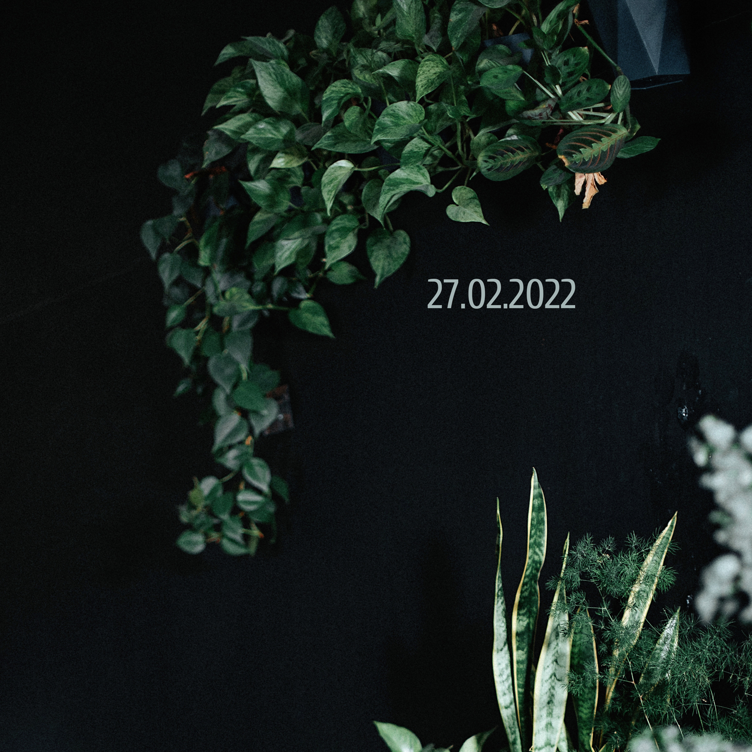 Профессиональный фотограф в Москве отзывы. Школьный и семейный фотограф в Москве Фоломкина Ксения