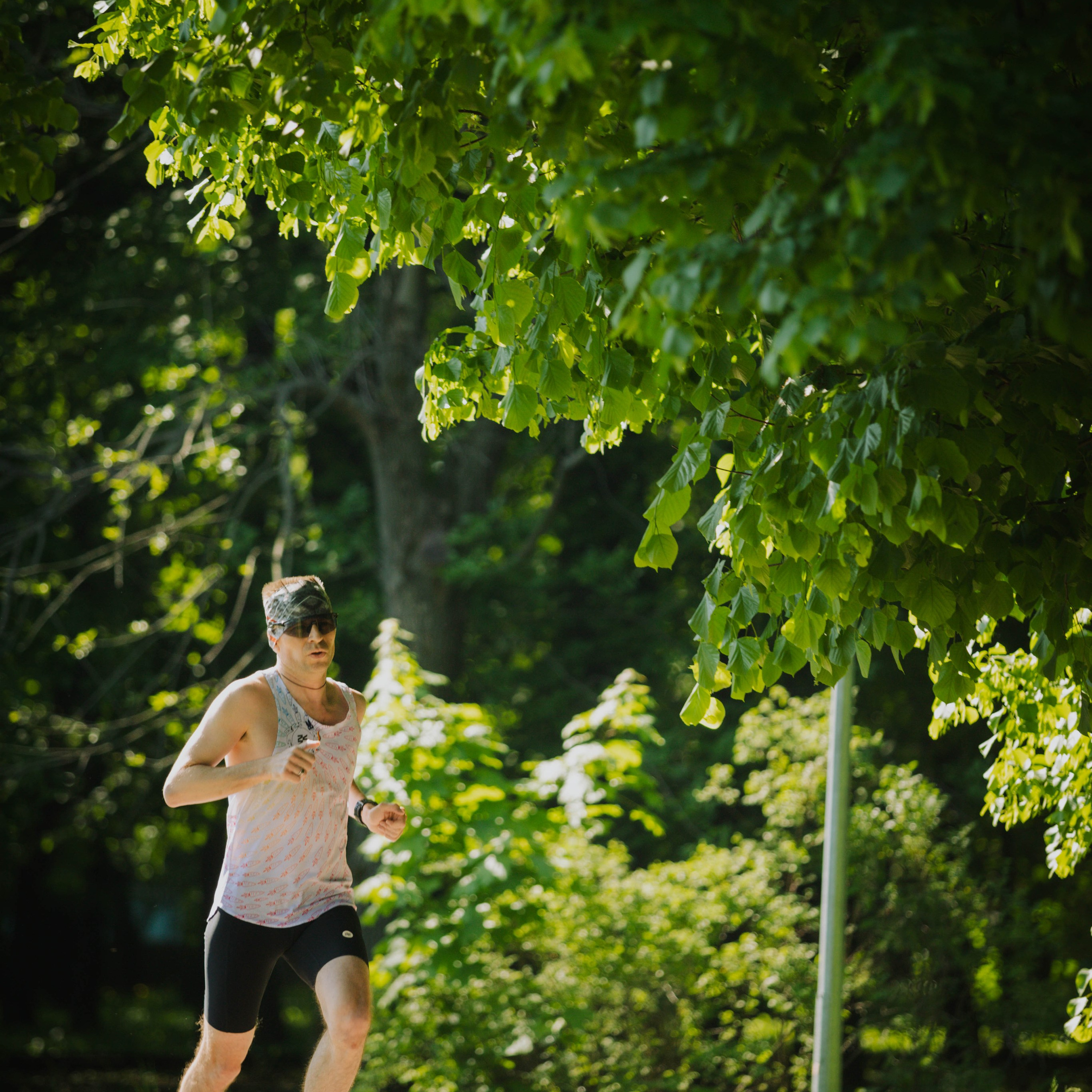 S95 Екатерининский парк