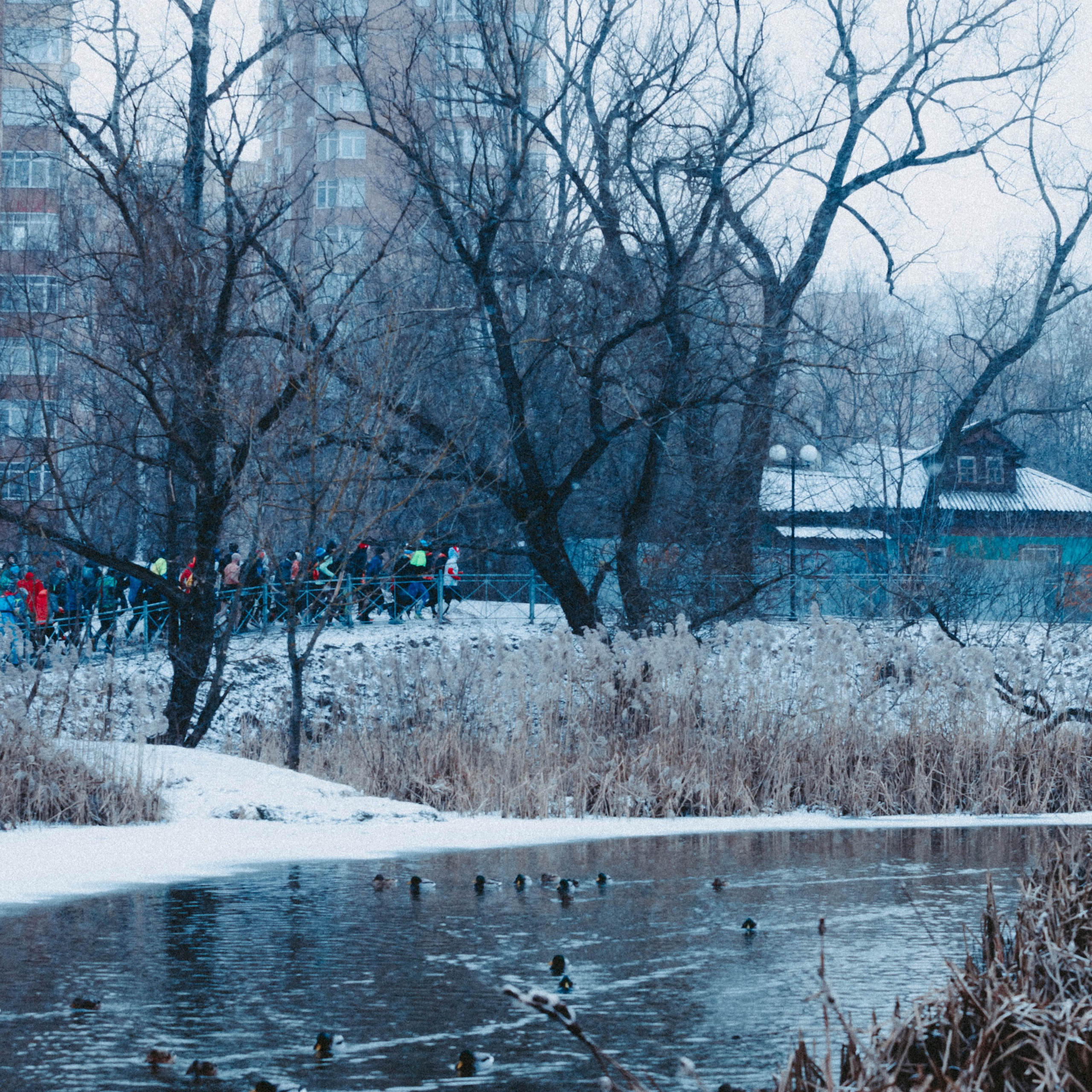 Марафон у дома_Мытищи