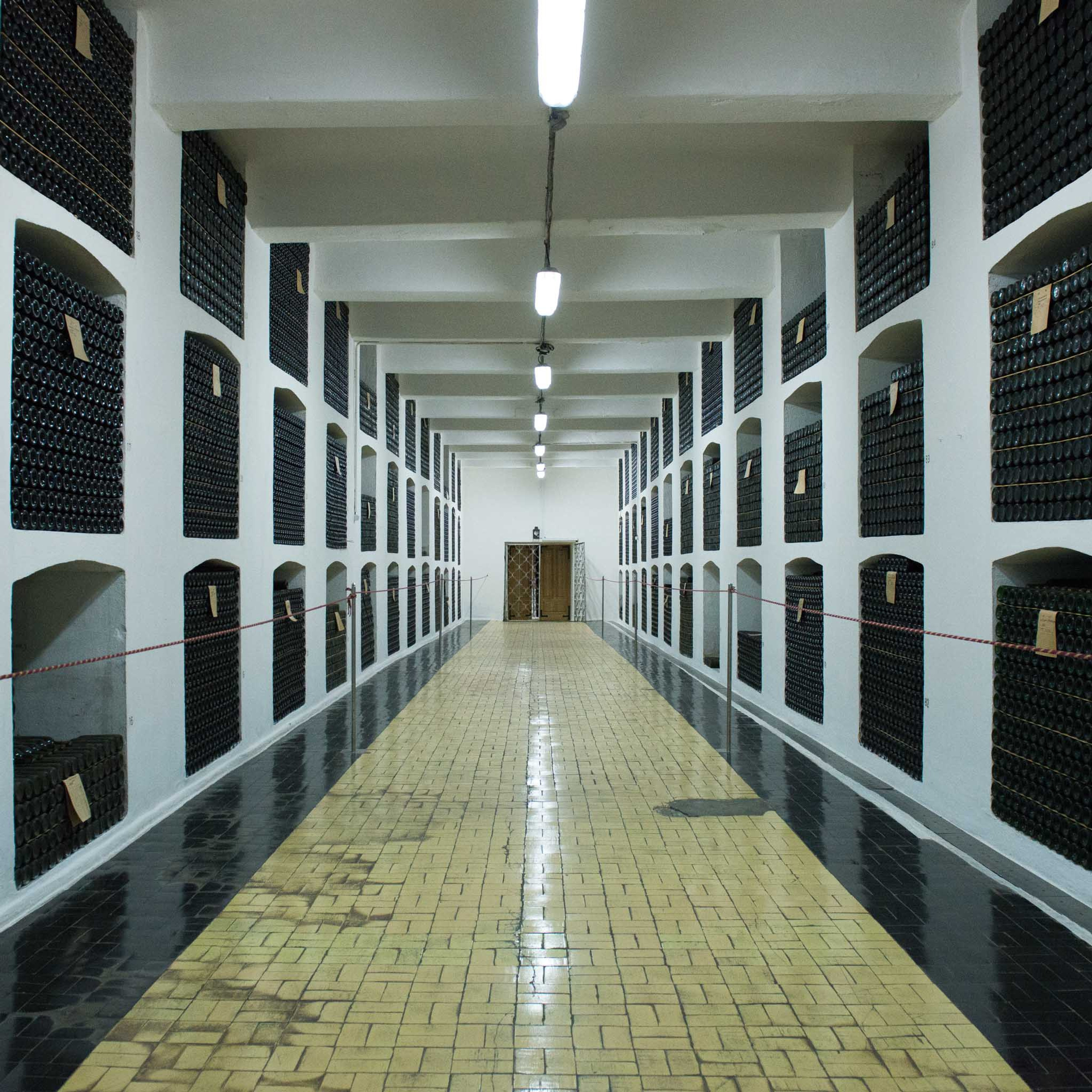 Симеиз-Ялта. Друзья