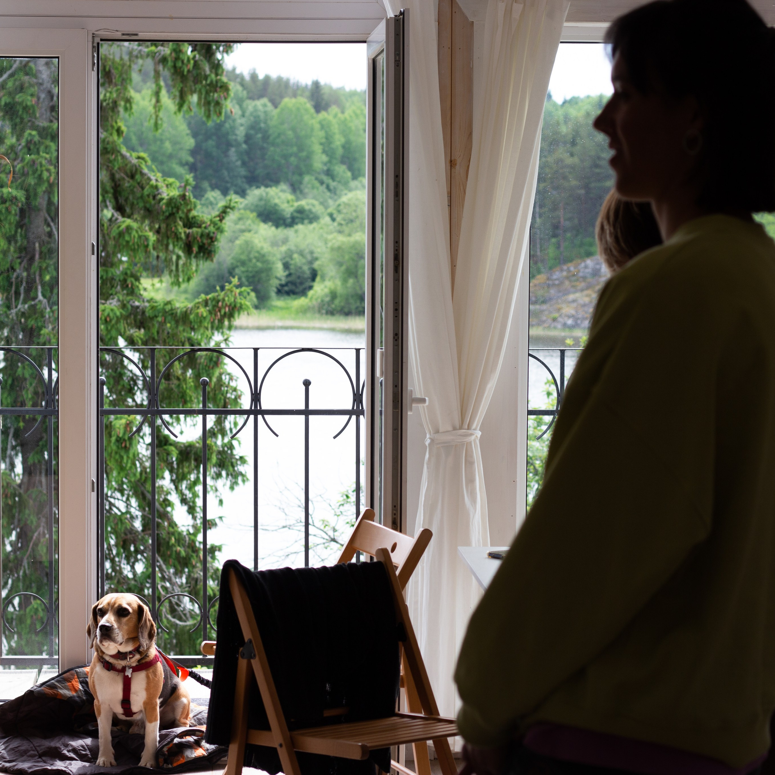 Северный пленер в Карелии. Творческий лагерь для взрослых