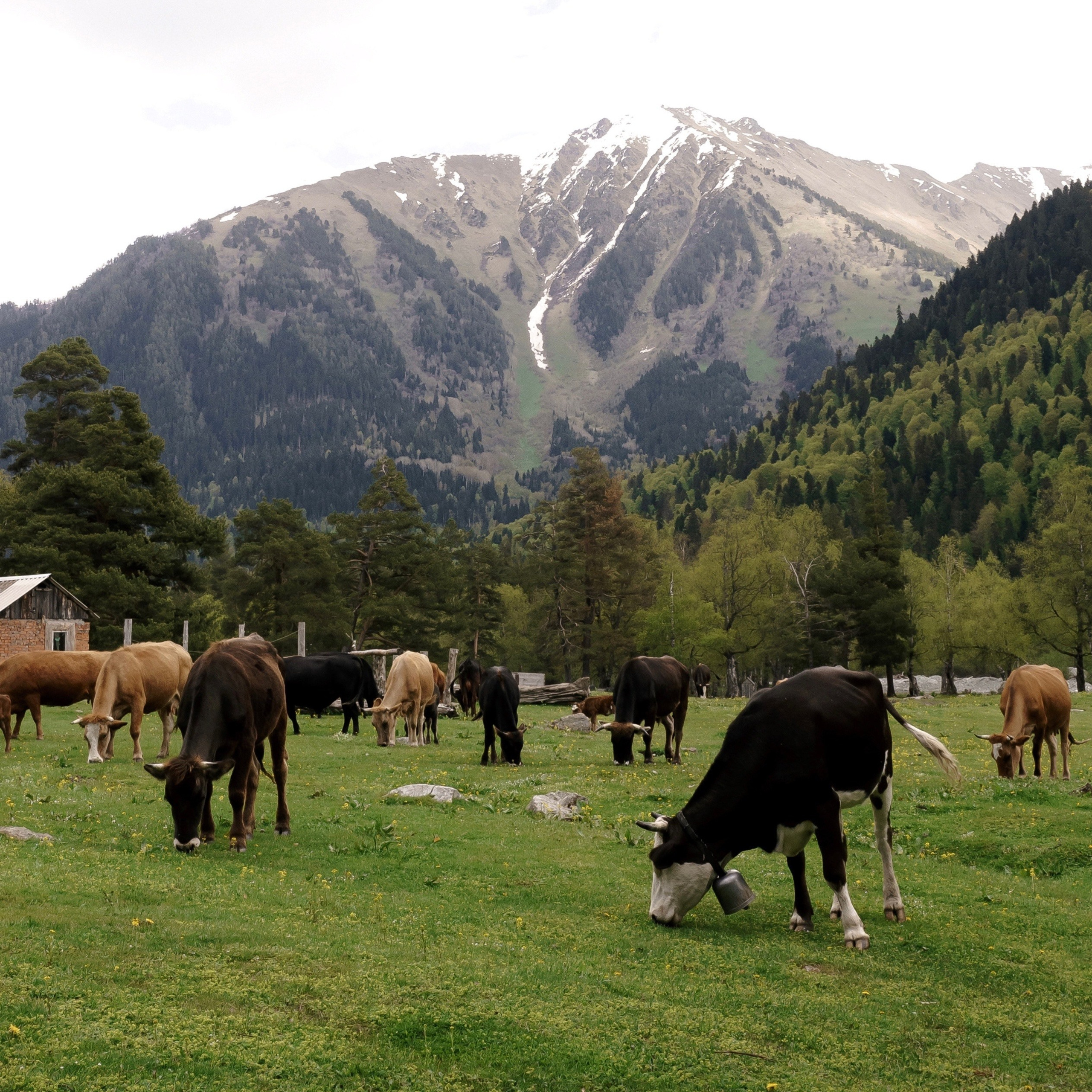 Смена в горах. Творческий лагерь для взрослых