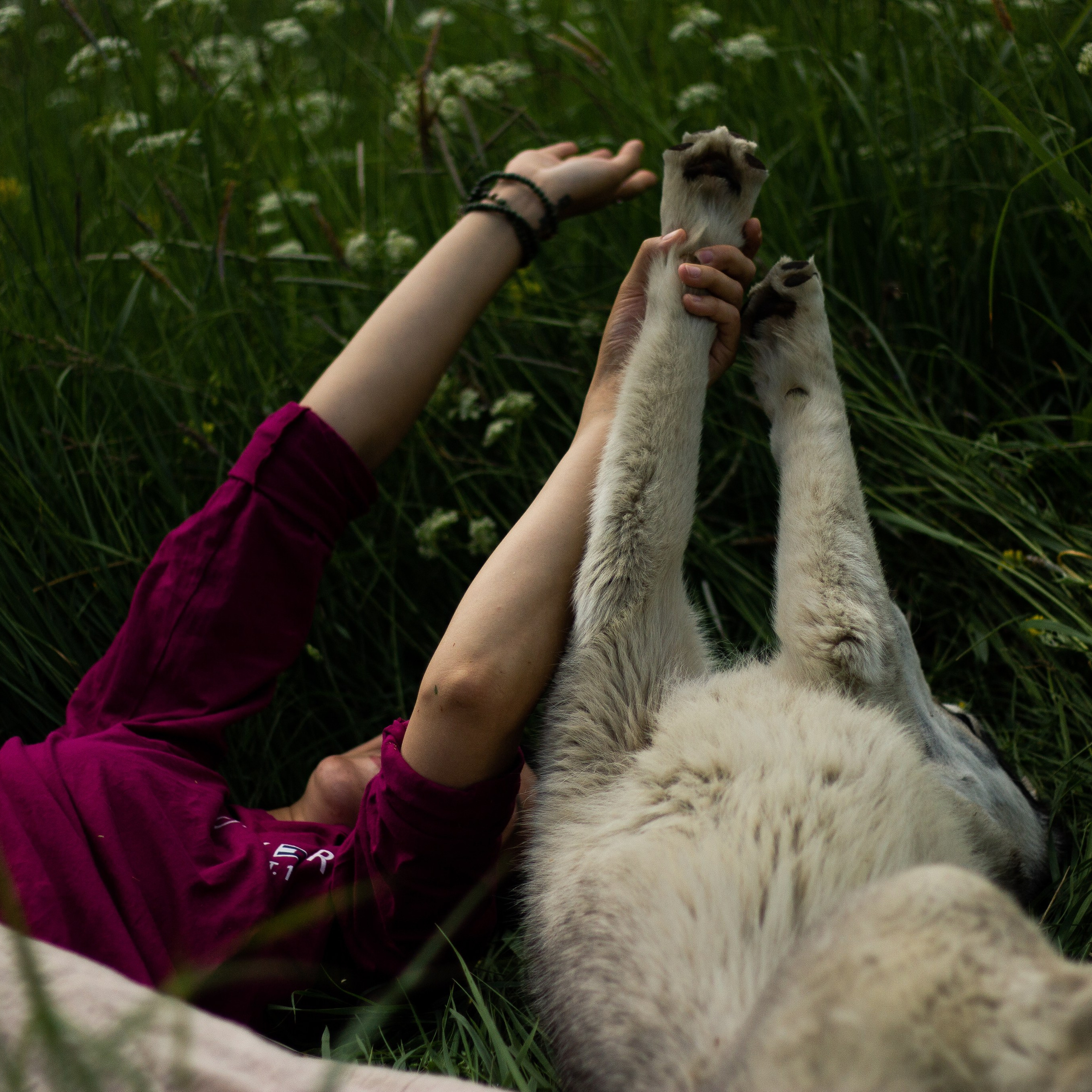 Северный пленер в Карелии. Творческий лагерь для взрослых