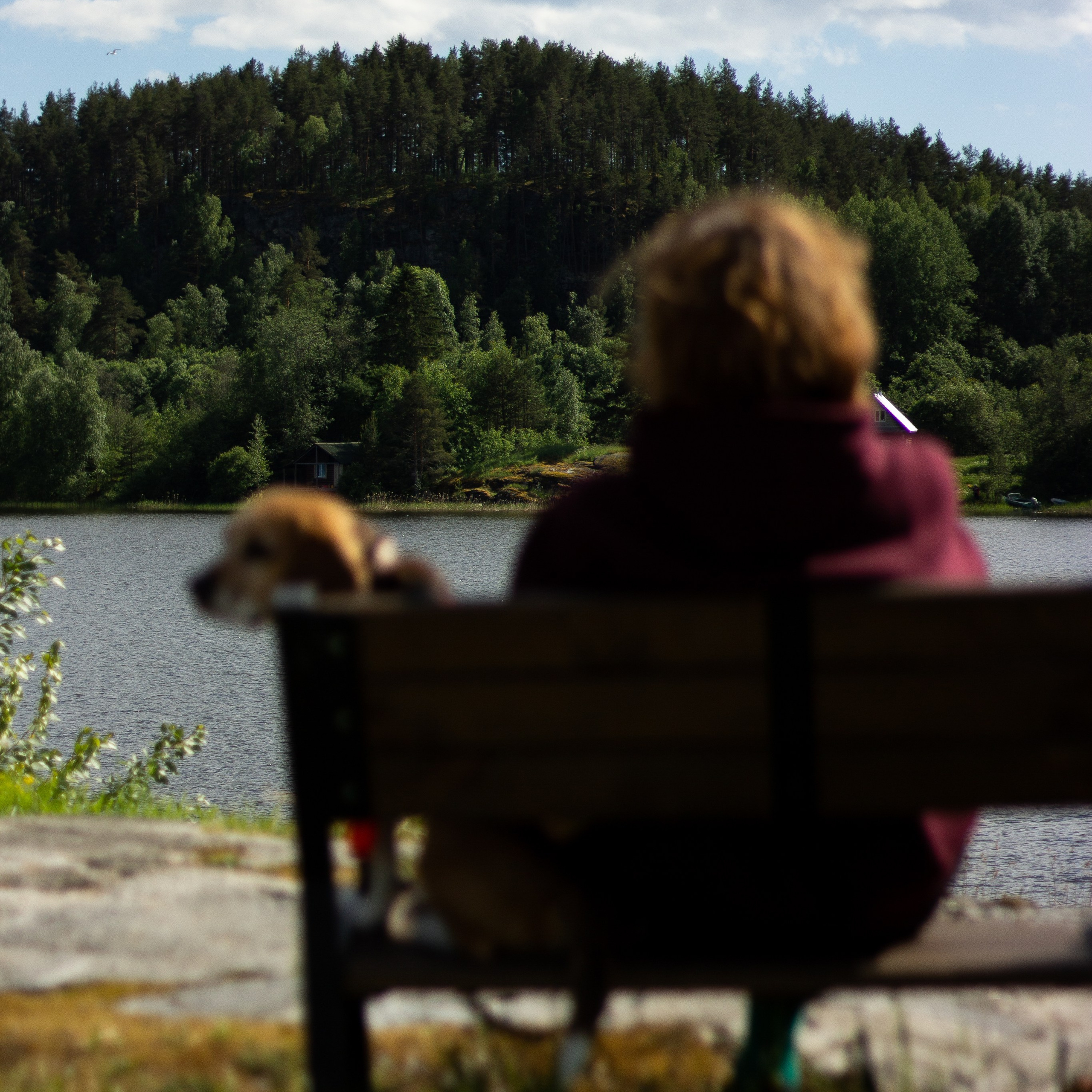 Северный пленер в Карелии. Творческий лагерь для взрослых
