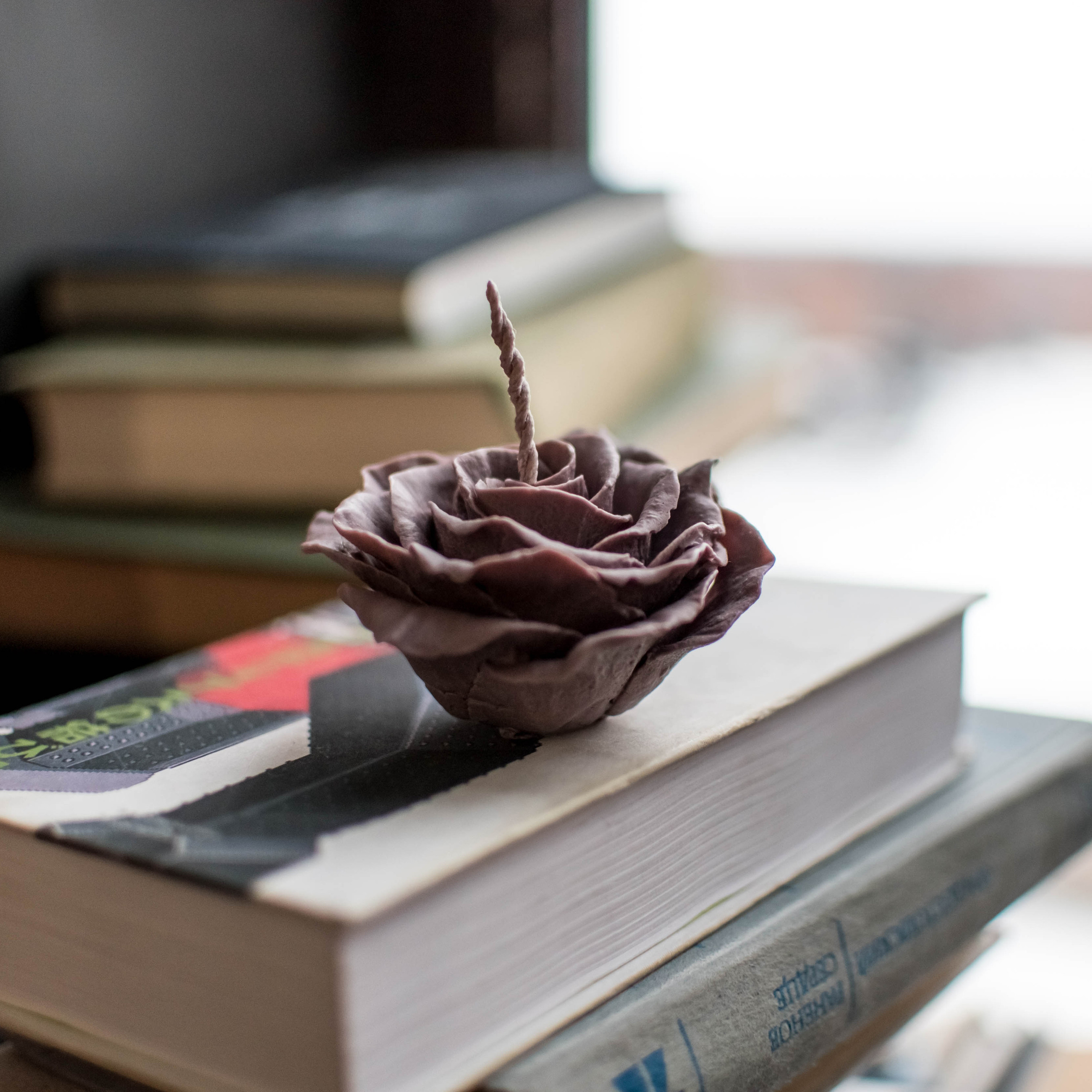 Фотограф Балашиха. Свадебный и семейный фотограф Екатерина Пушан. Москва, Балашиха, Железнодорожный, Солнечногорск