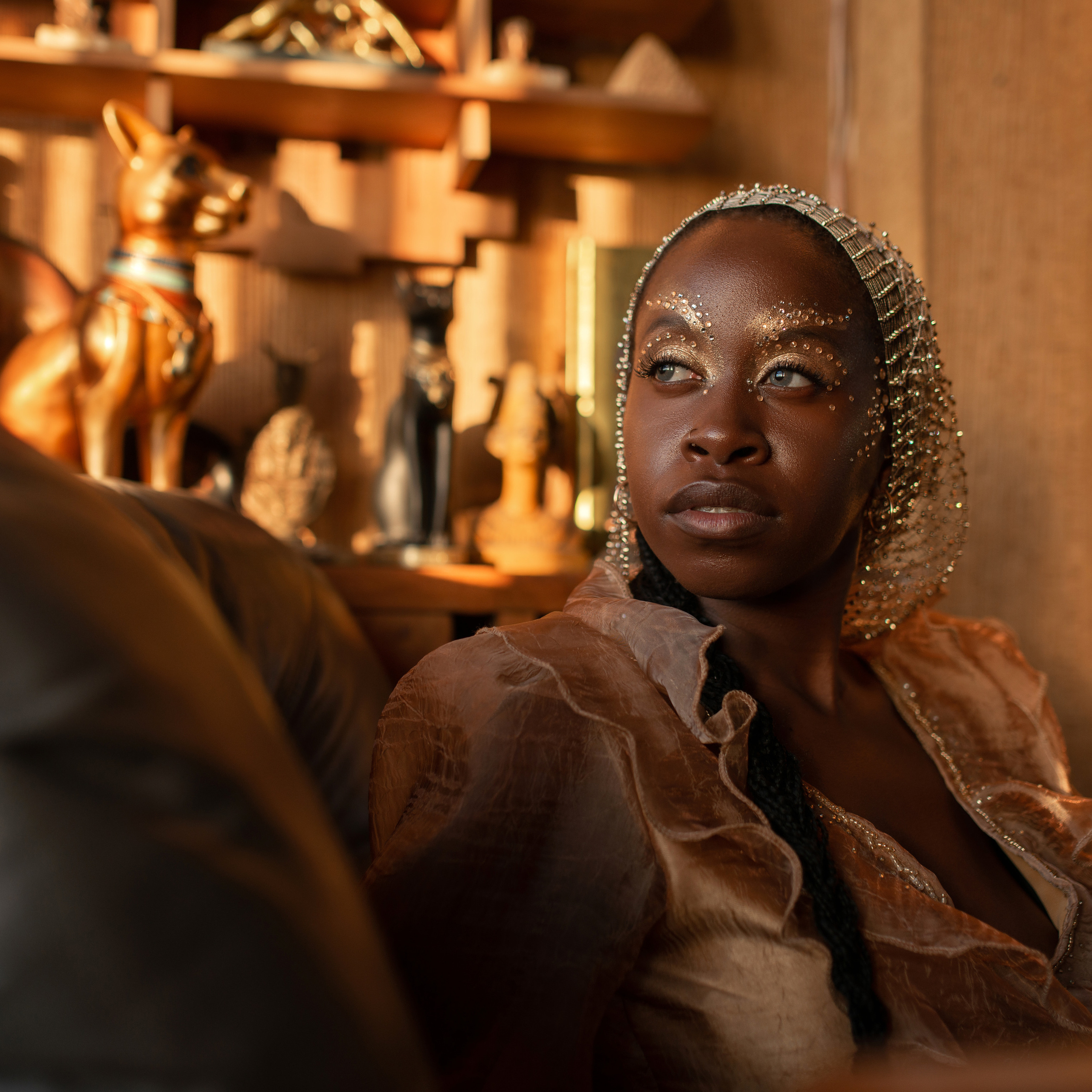 Симферополь. Частный Замок.