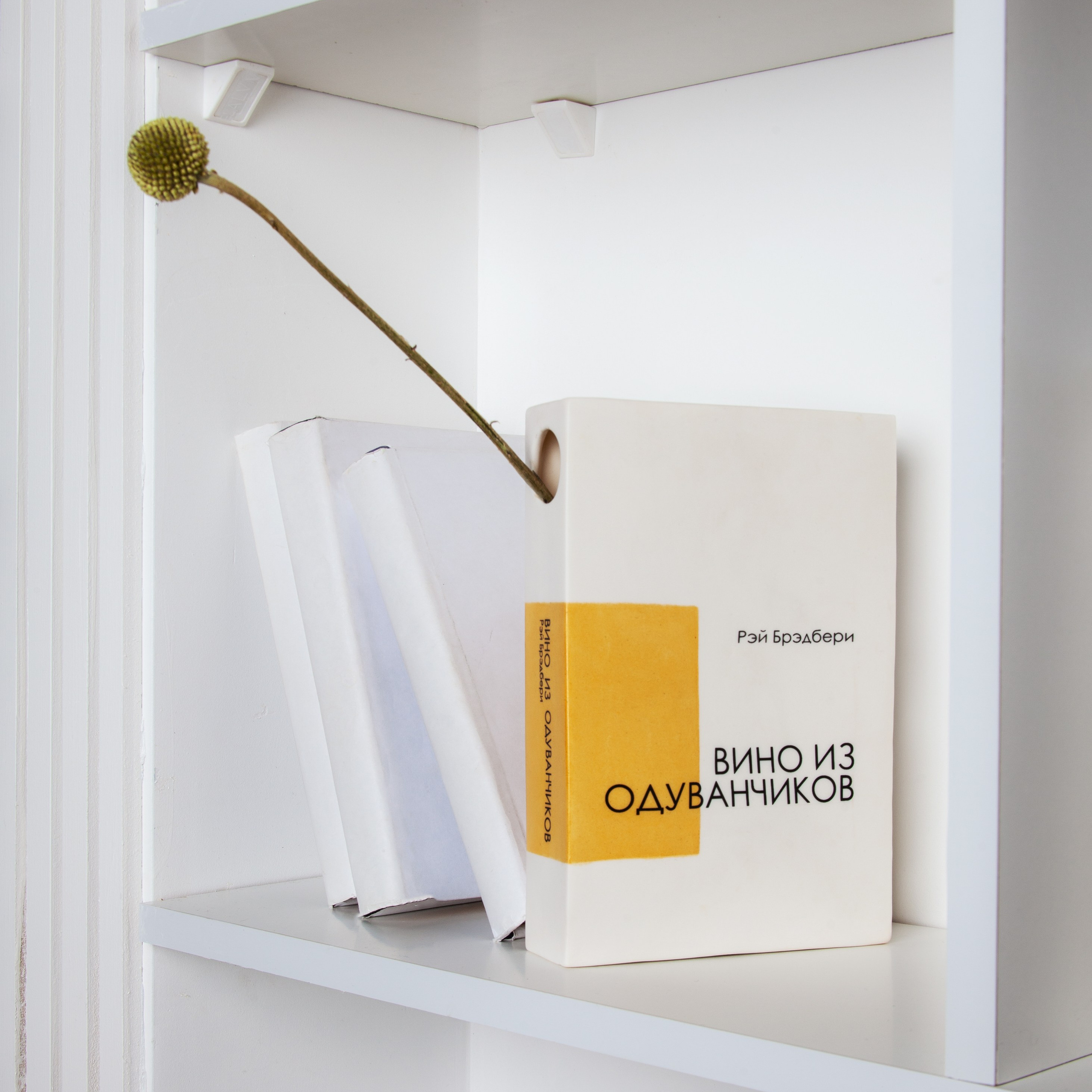 Книжный сад / book garden. Natalia Tabakova art