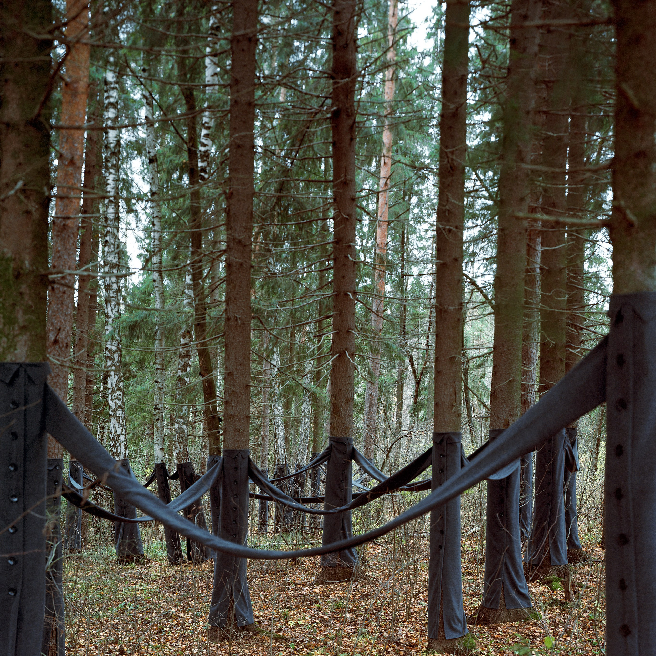 Лес / forest. Natalia Tabakova art