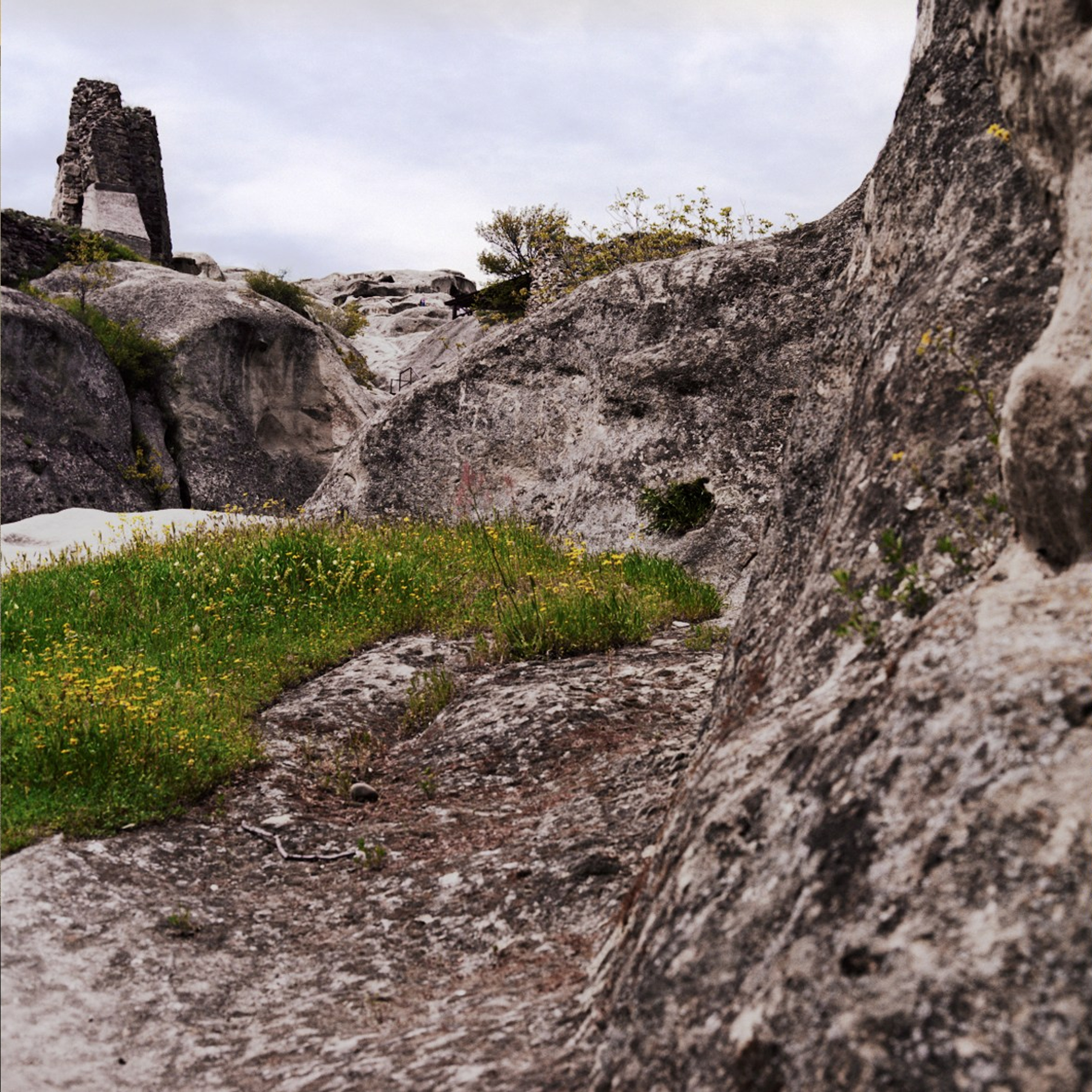 Музей / the museum. Natalia Tabakova art
