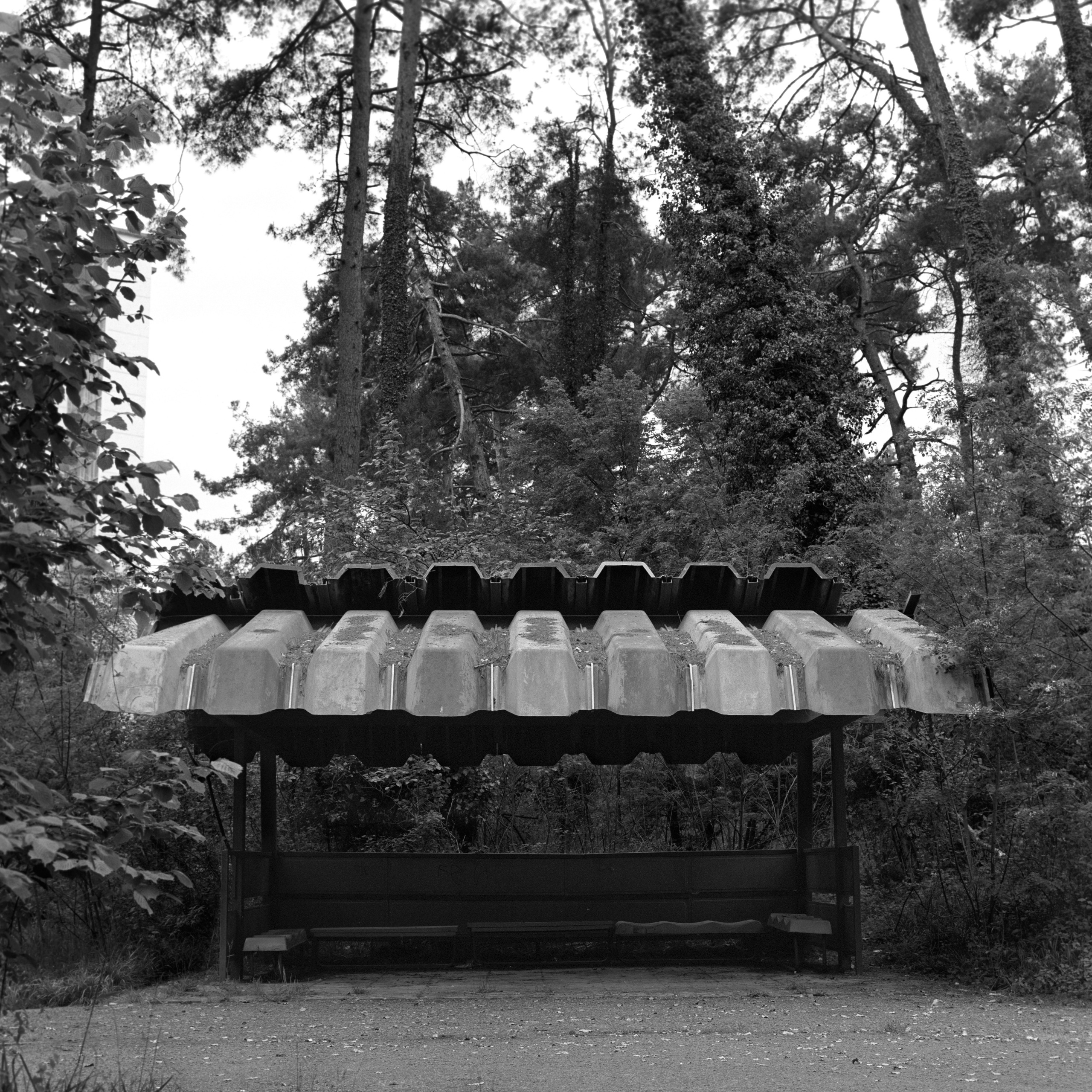 «нулевые знаки». Абхазия. / «zero signs». Abkhazia. Natalia Tabakova art