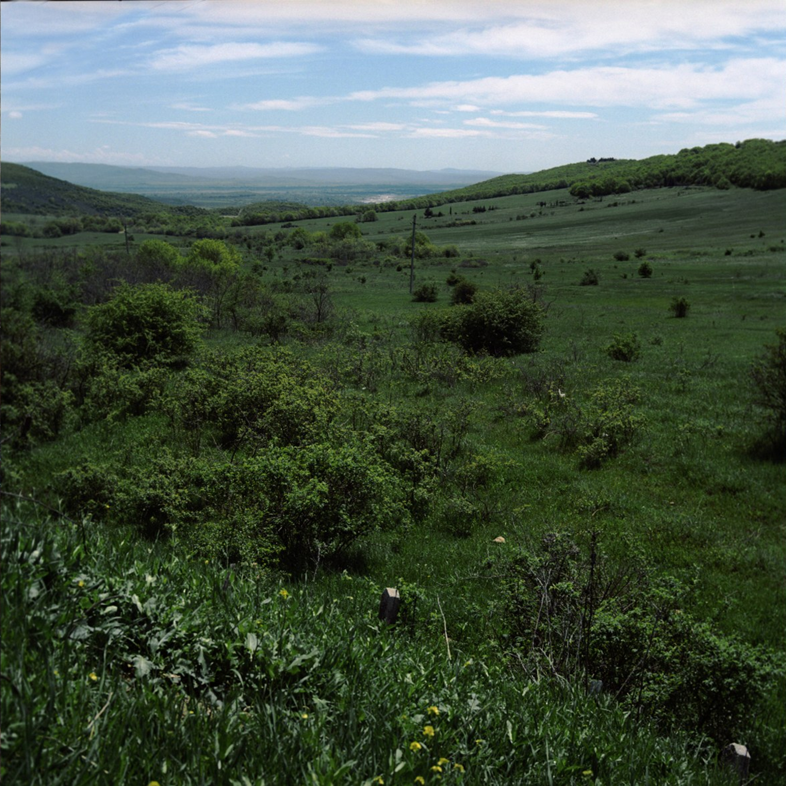 Музей / the museum. Natalia Tabakova art